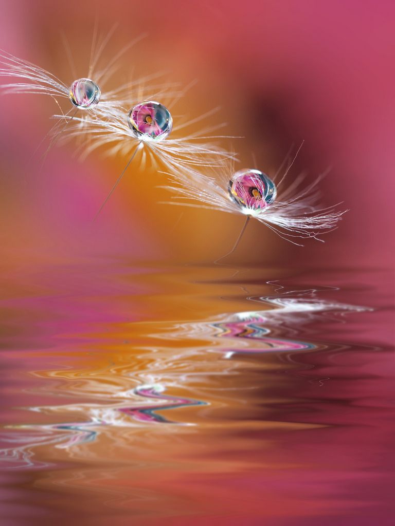 Water Drop Reflection Wallpapers