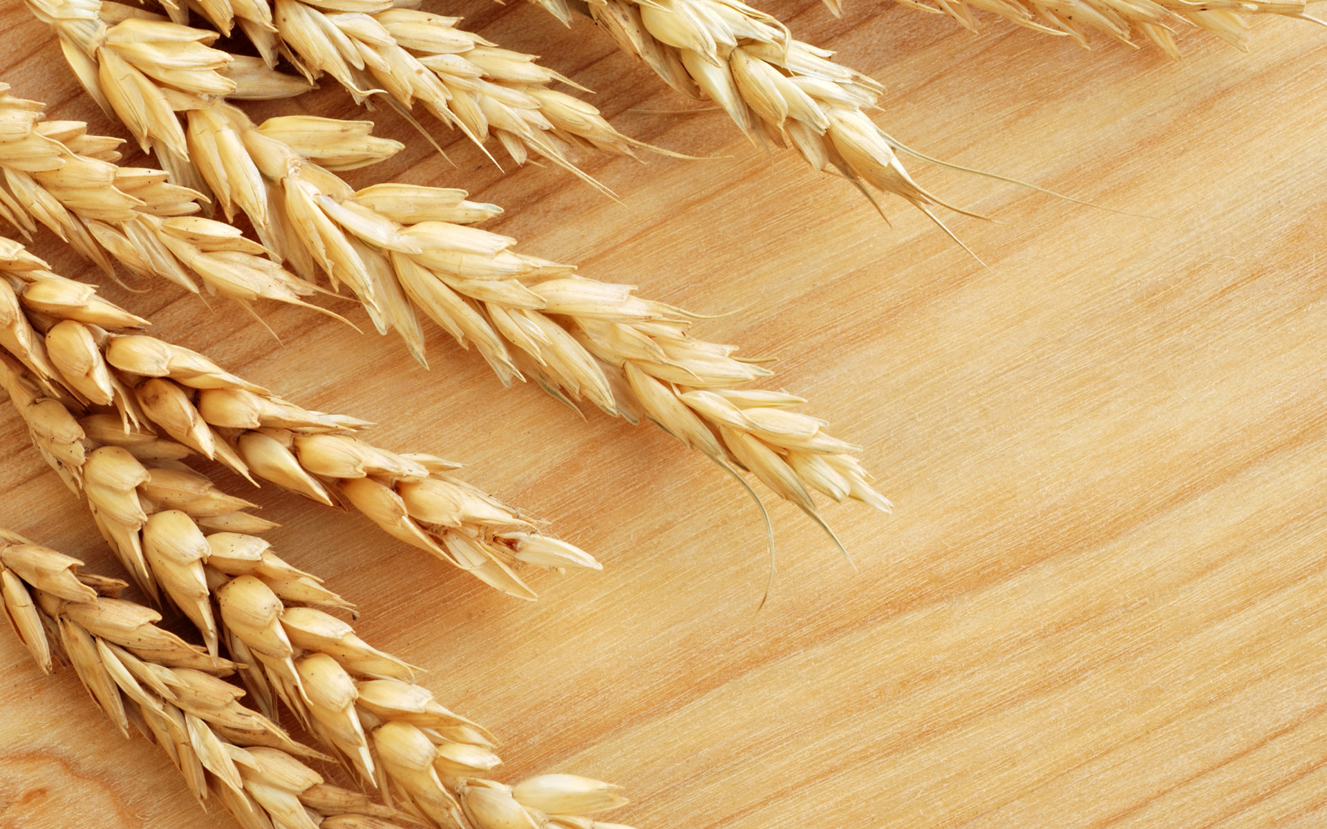 Wheat Wallpapers