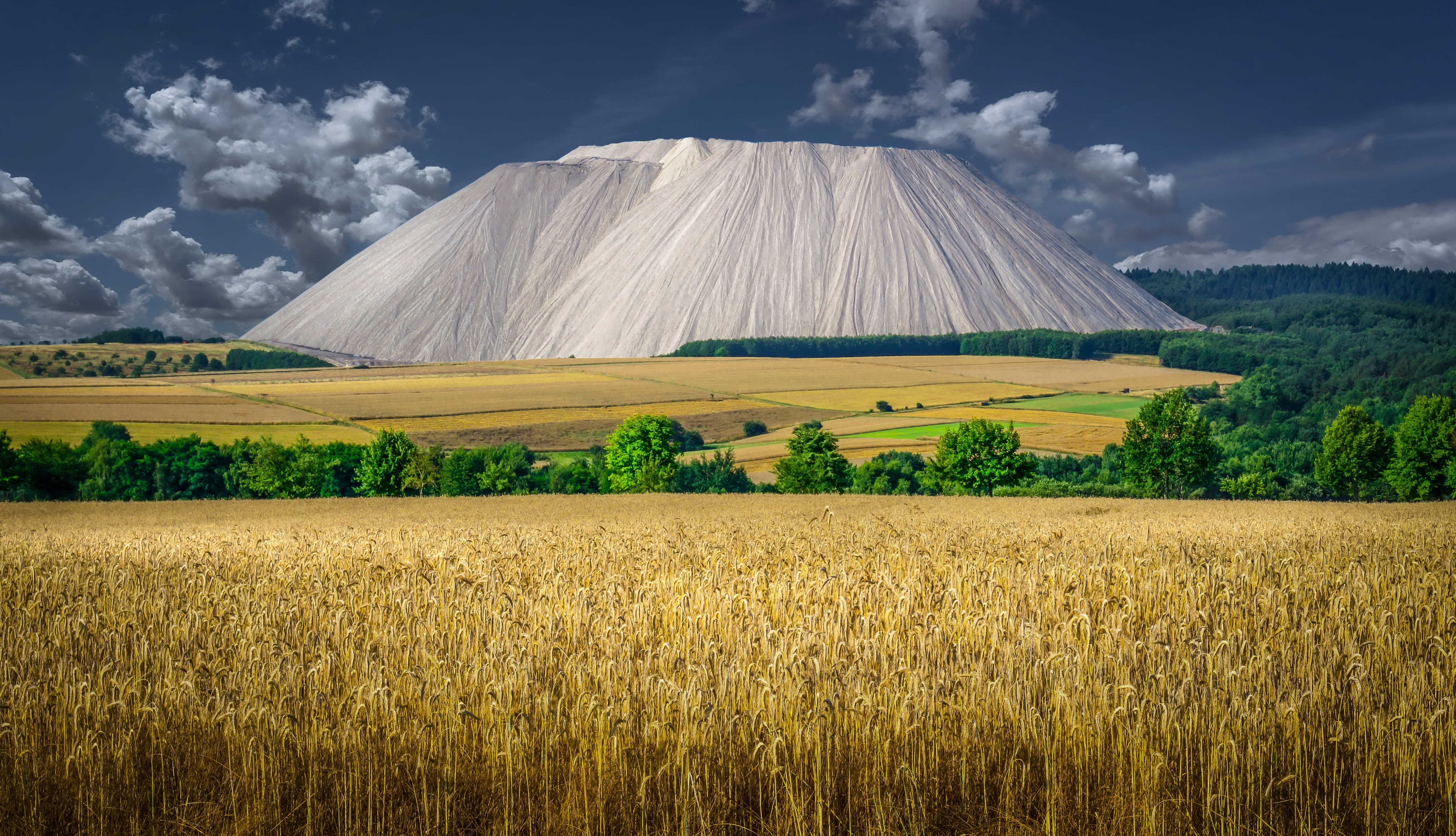 Wheat 4K Farm Field Wallpapers