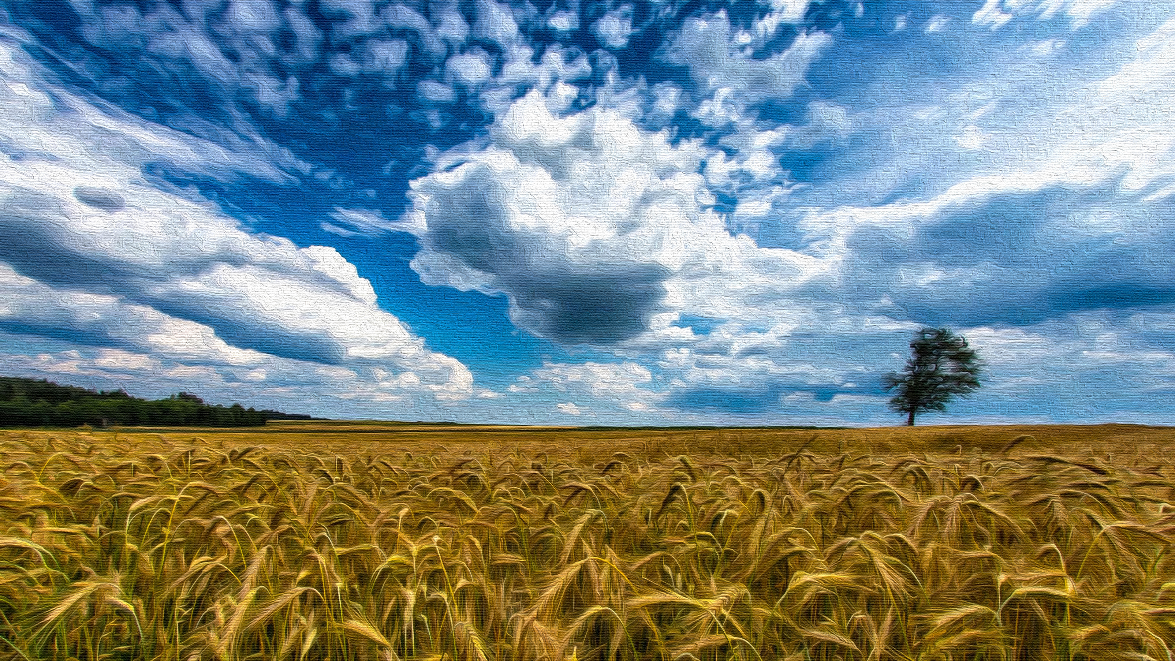 Wheat 4K Field Wallpapers