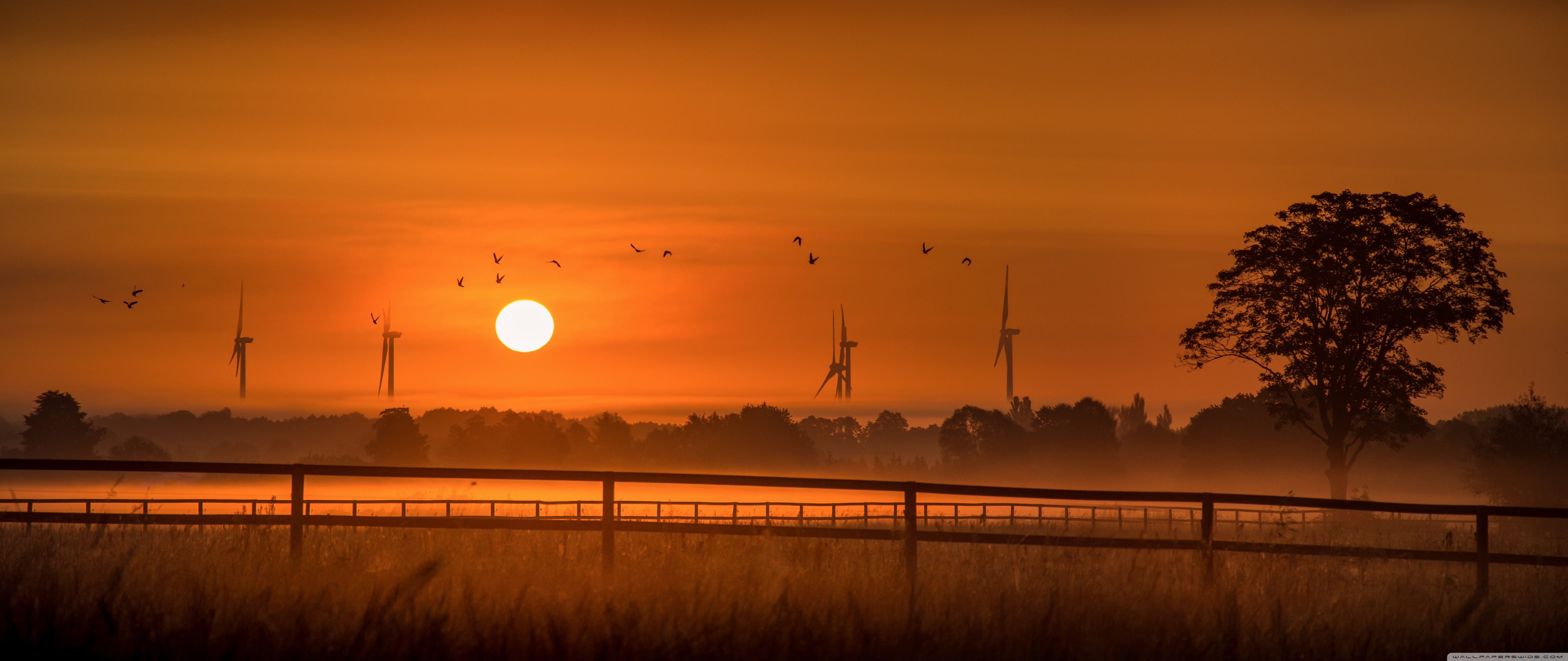 Wind Turbine And Sunrise Wallpapers