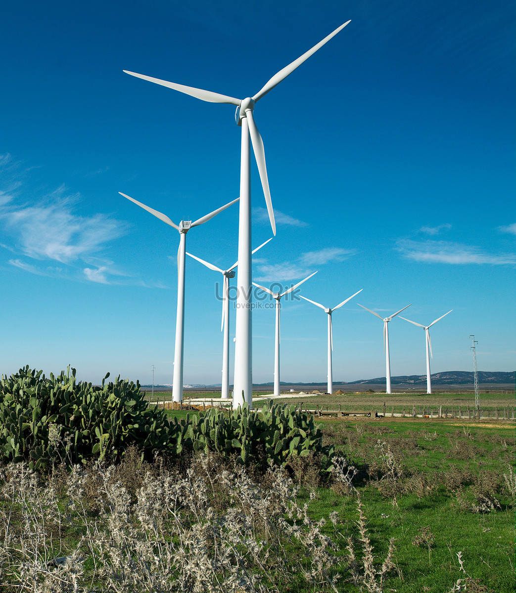 Wind Turbine Hd Field Wallpapers