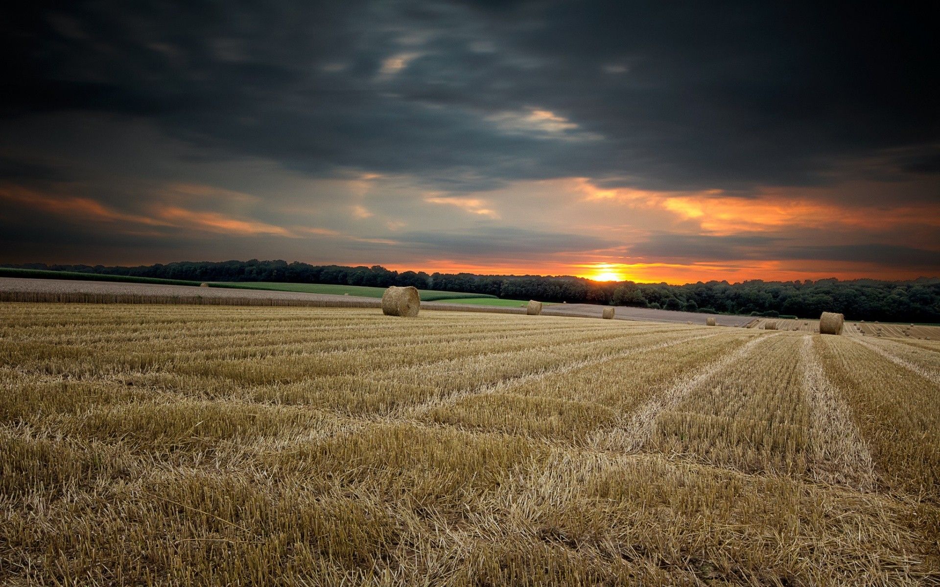 Windmill On Wheat Field At Sunset Wallpapers