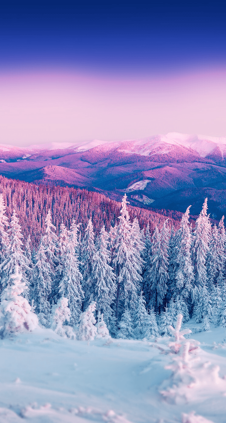 Winter Wallpapers