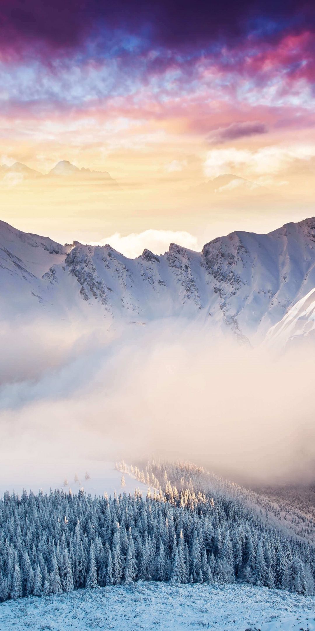 Winter Cloudy Forest Mountains Wallpapers