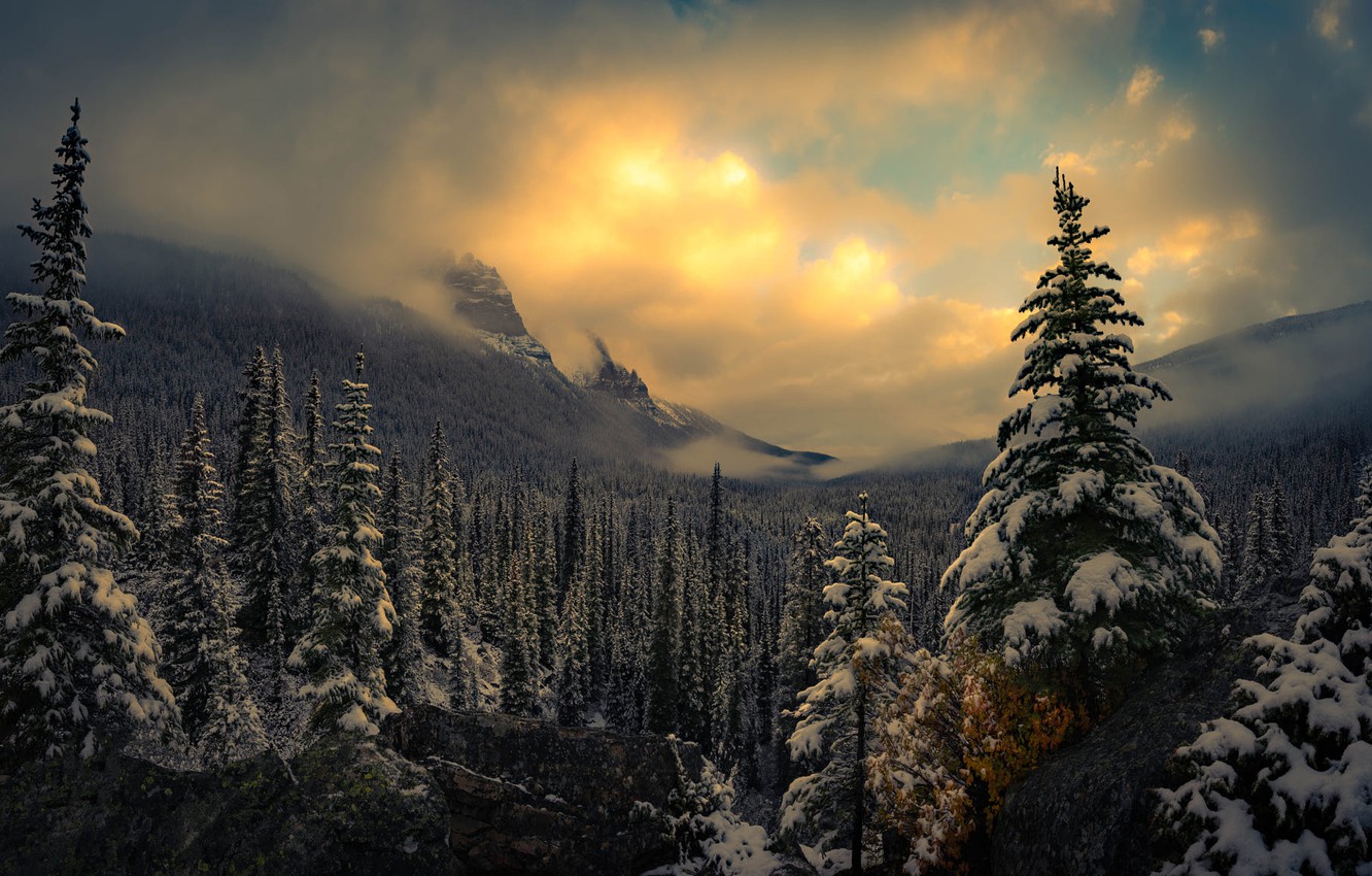 Winter Cloudy Forest Mountains Wallpapers