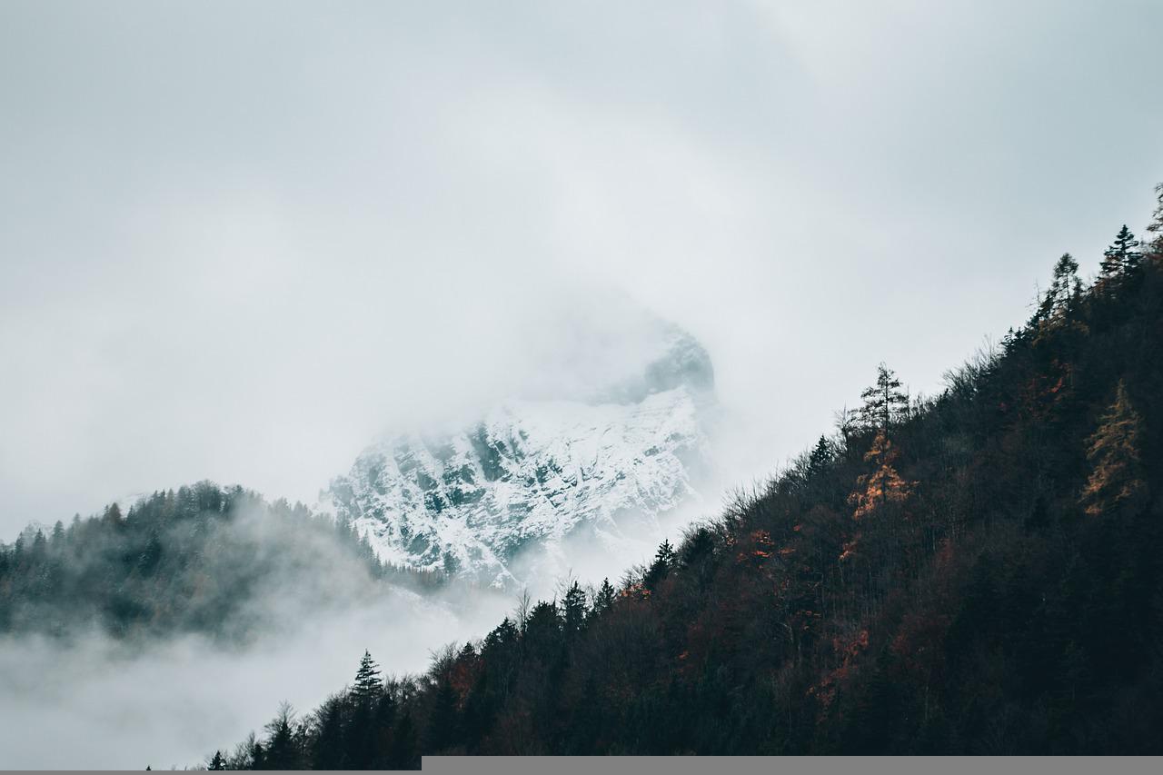 Winter Cloudy Forest Mountains Wallpapers