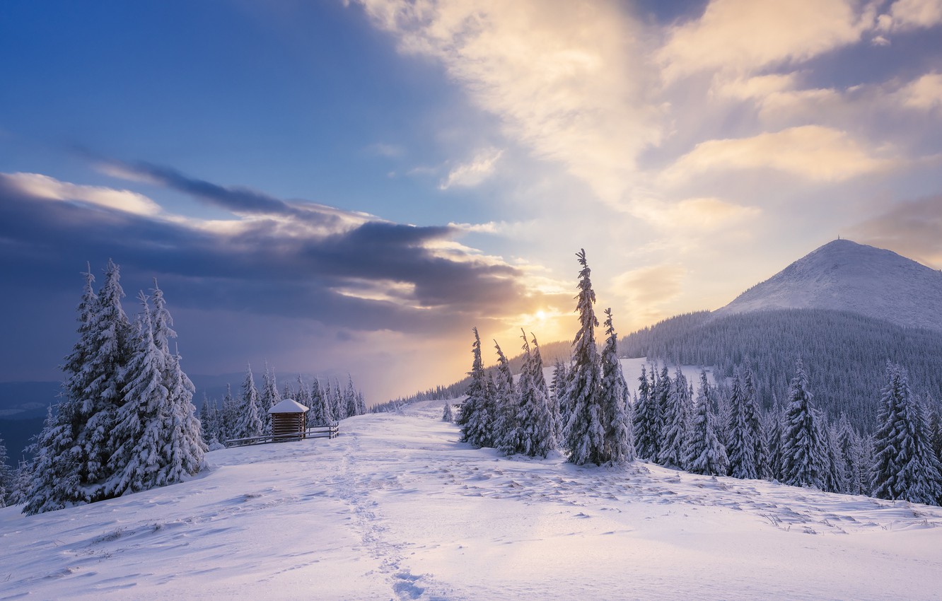 Winter Cloudy Forest Mountains Wallpapers