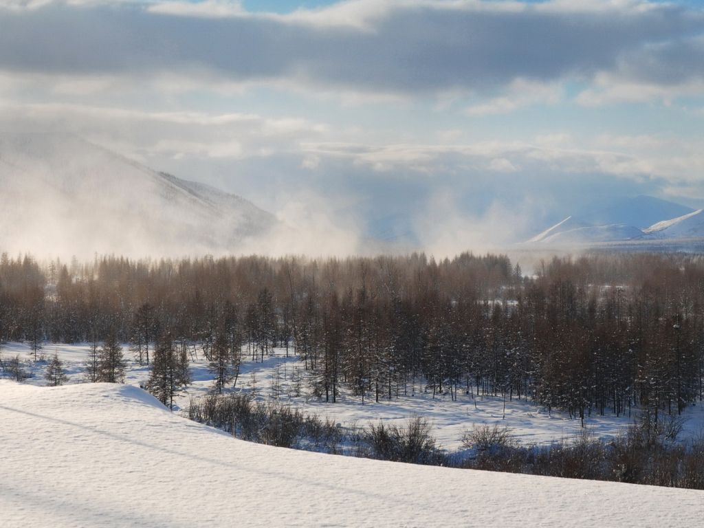 Winter Cloudy Forest Mountains Wallpapers