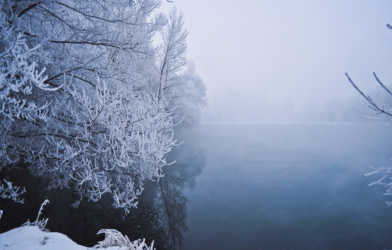 Winter Fog, Snow, Trees And Lake Wallpapers
