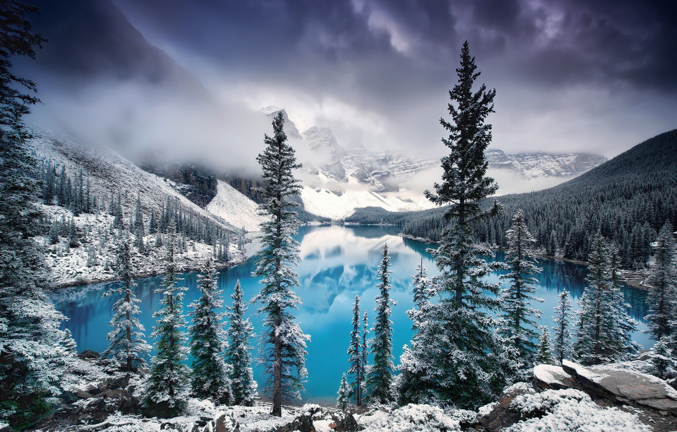 Winter Fog, Snow, Trees And Lake Wallpapers