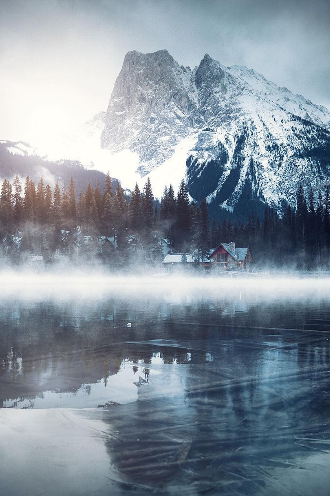 Winter Fog, Snow, Trees And Lake Wallpapers