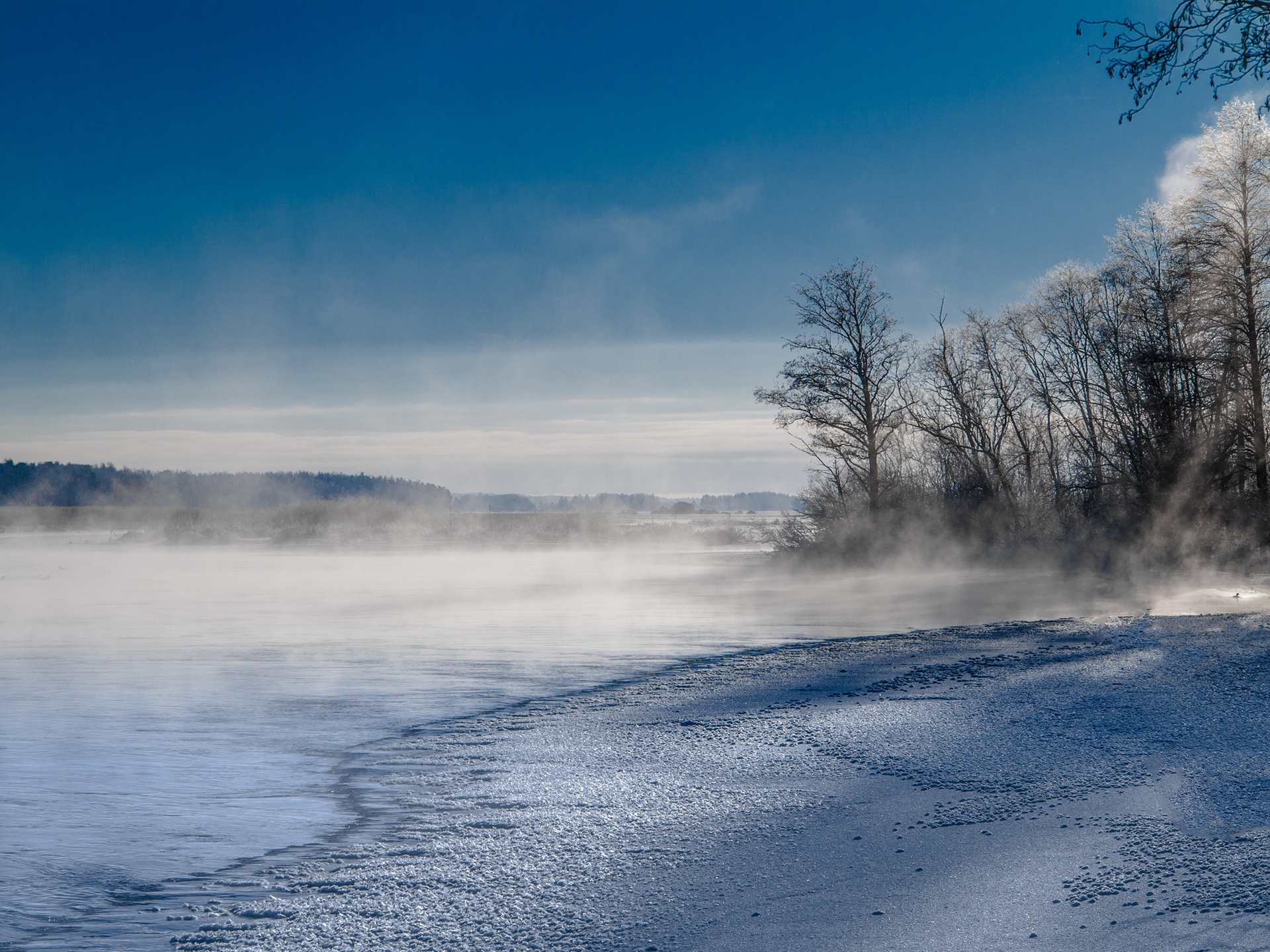 Winter Fog, Snow, Trees And Lake Wallpapers