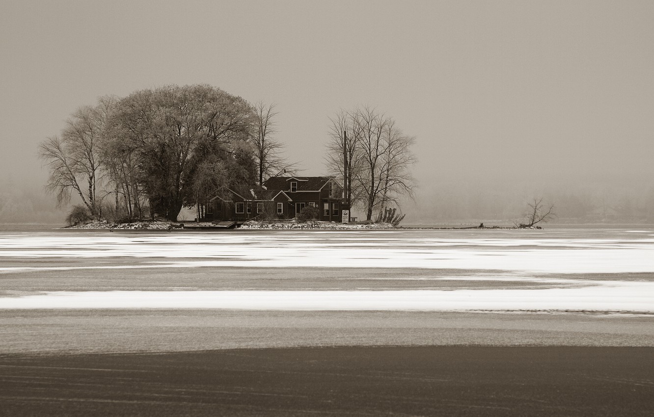 Winter Fog, Snow, Trees And Lake Wallpapers