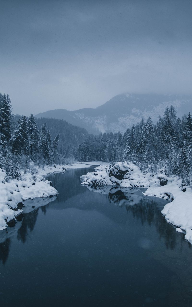 Winter Fog, Snow, Trees And Lake Wallpapers