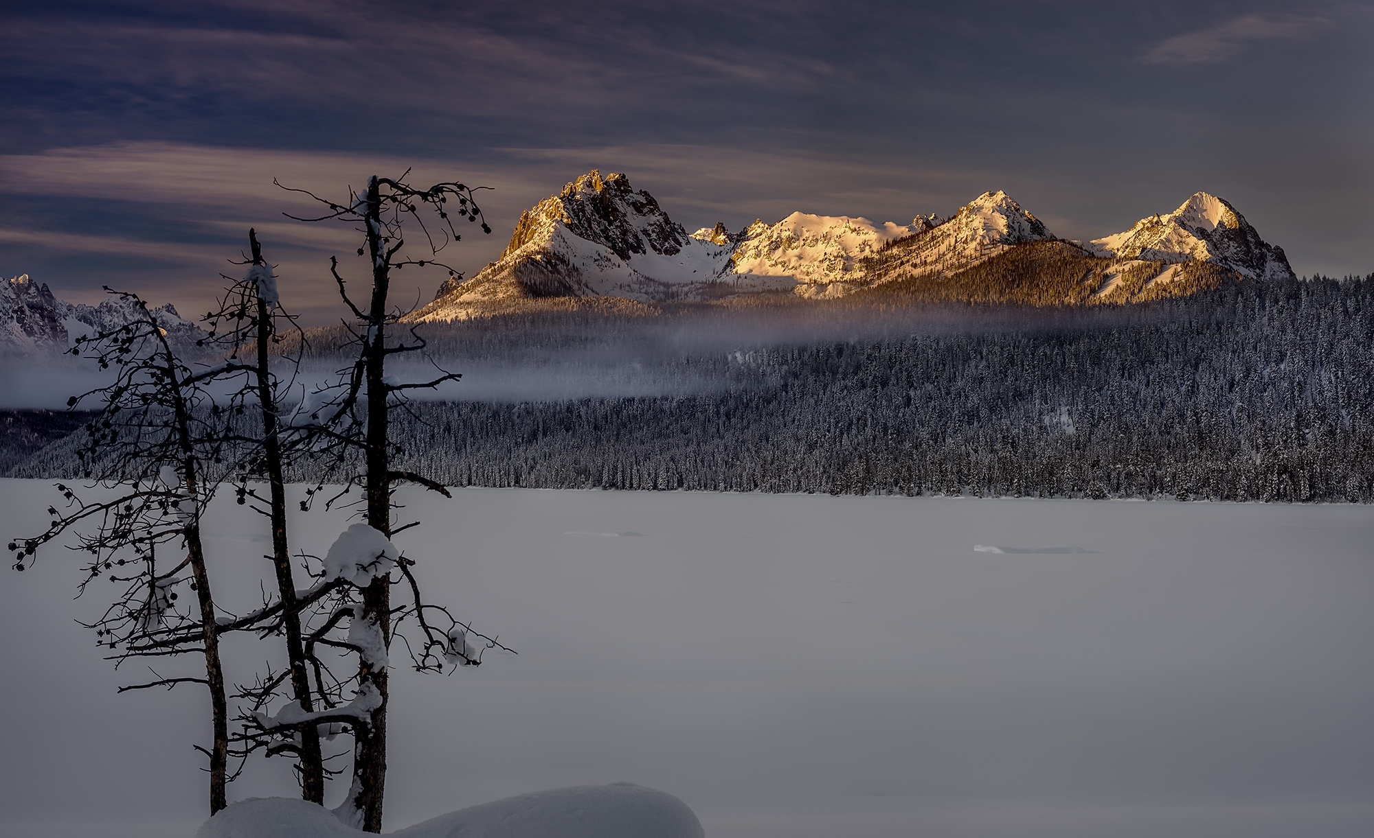 Winter Forest Landscape Nature Snow Wallpapers