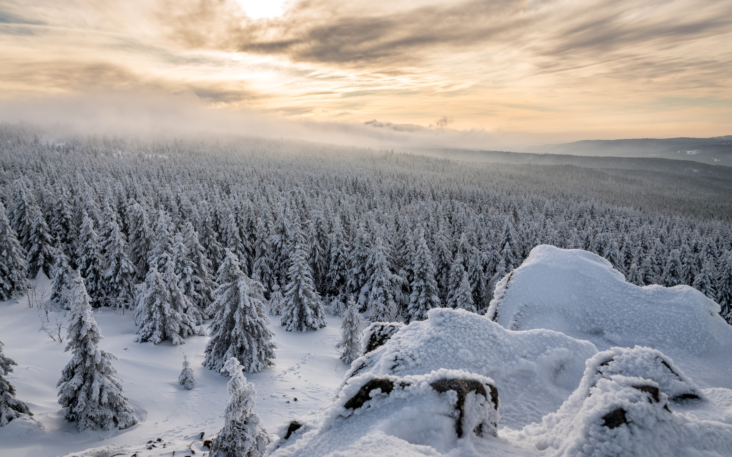 Winter Forest Landscape Nature Snow Wallpapers