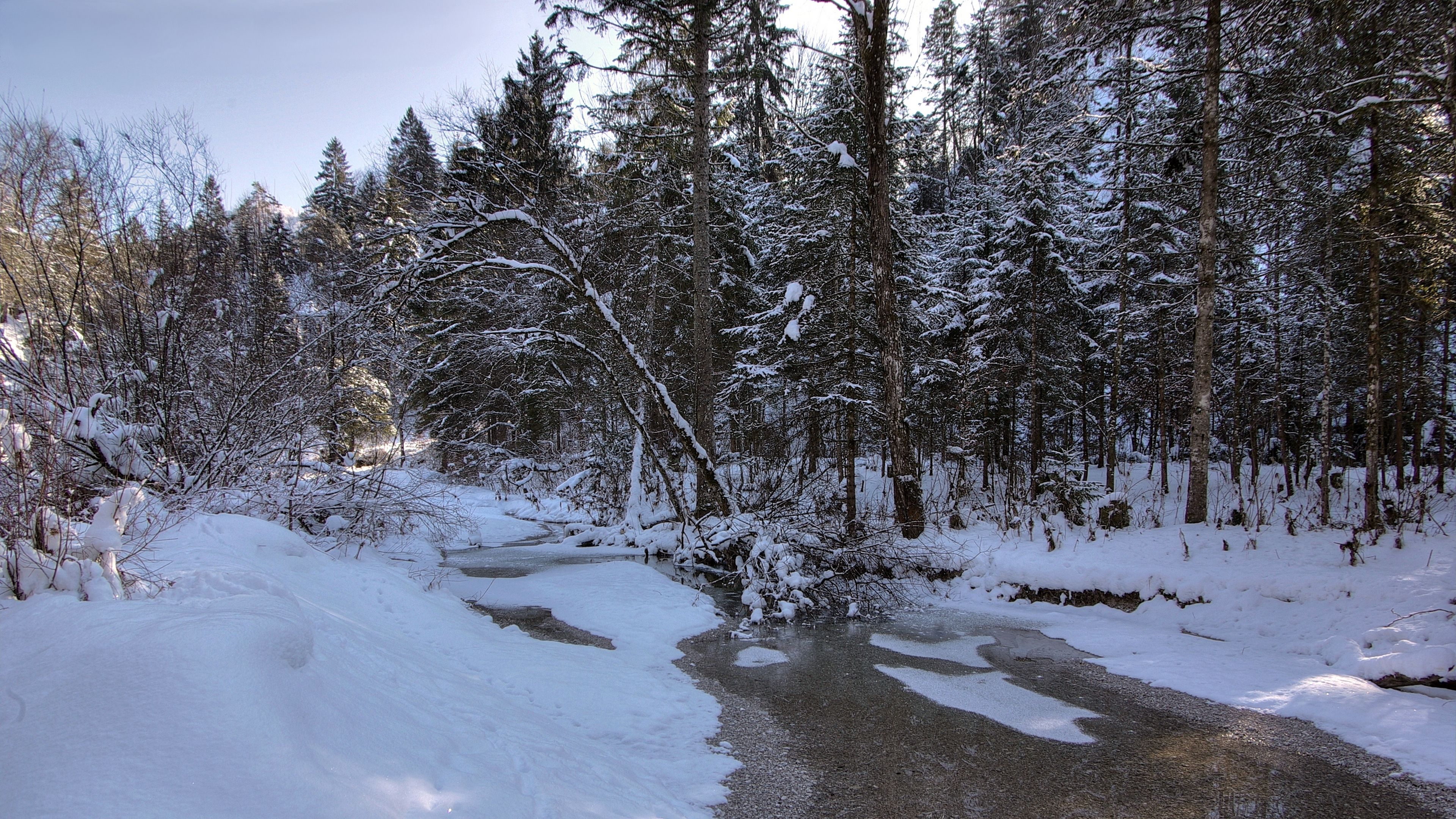 Winter Forest Landscape Nature Snow Wallpapers