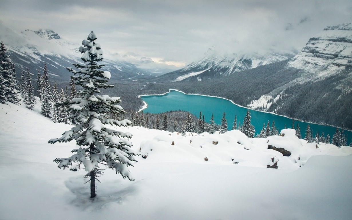 Winter Lake Snowy Mountain Landscape Wallpapers