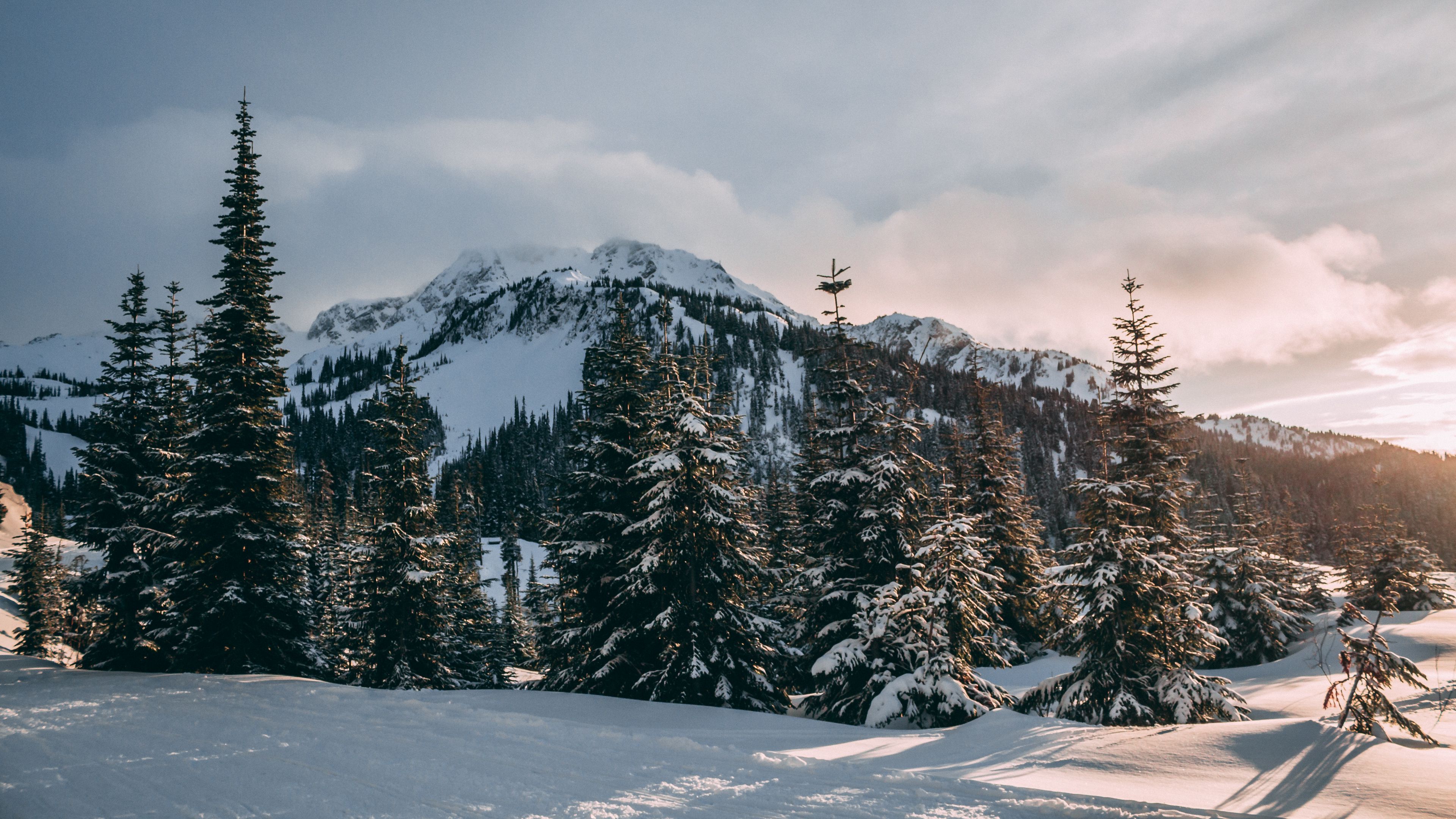 Winter Mountains And Trees Wallpapers