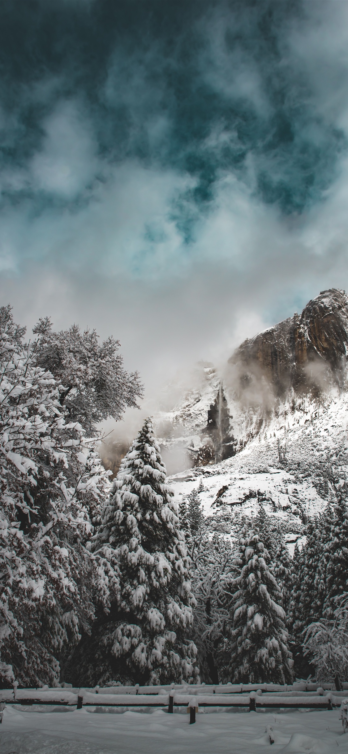 Winter Mountains And Trees Wallpapers