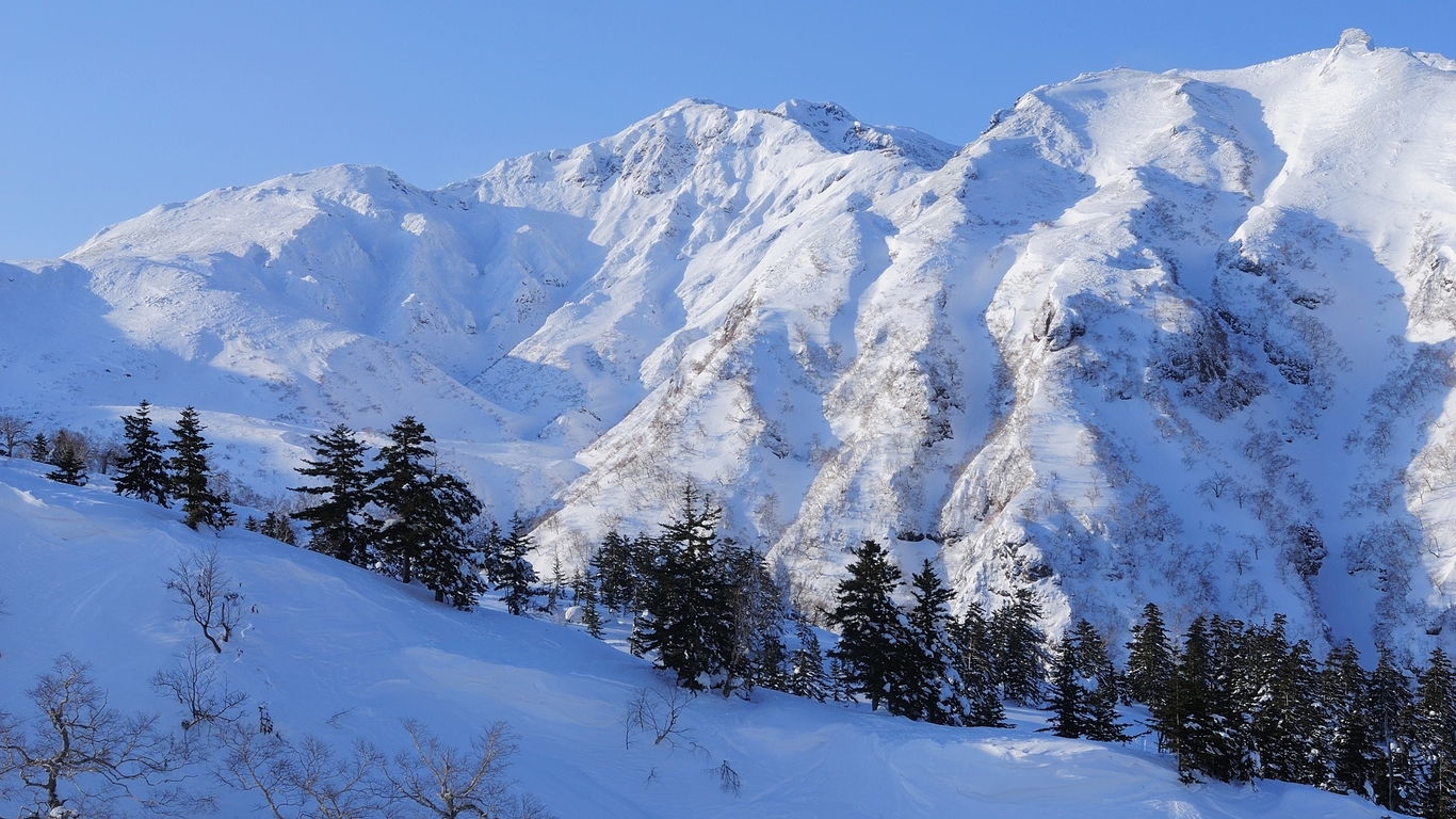 Winter Mountains And Trees Wallpapers