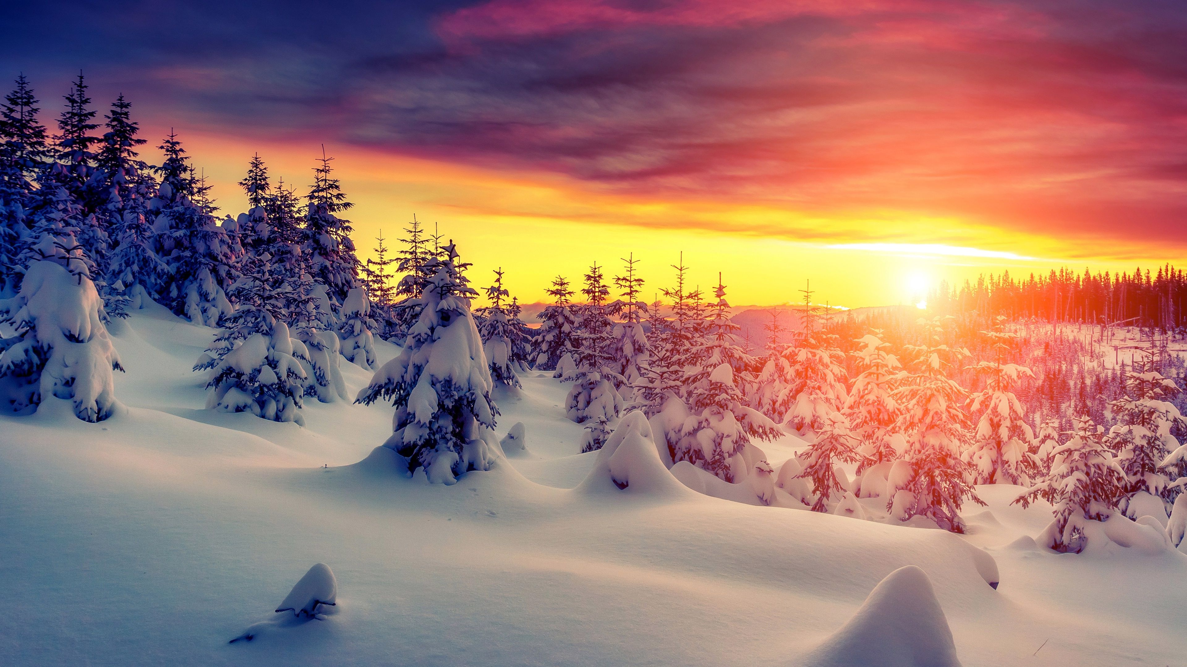 Winter Sunset Photography Wallpapers
