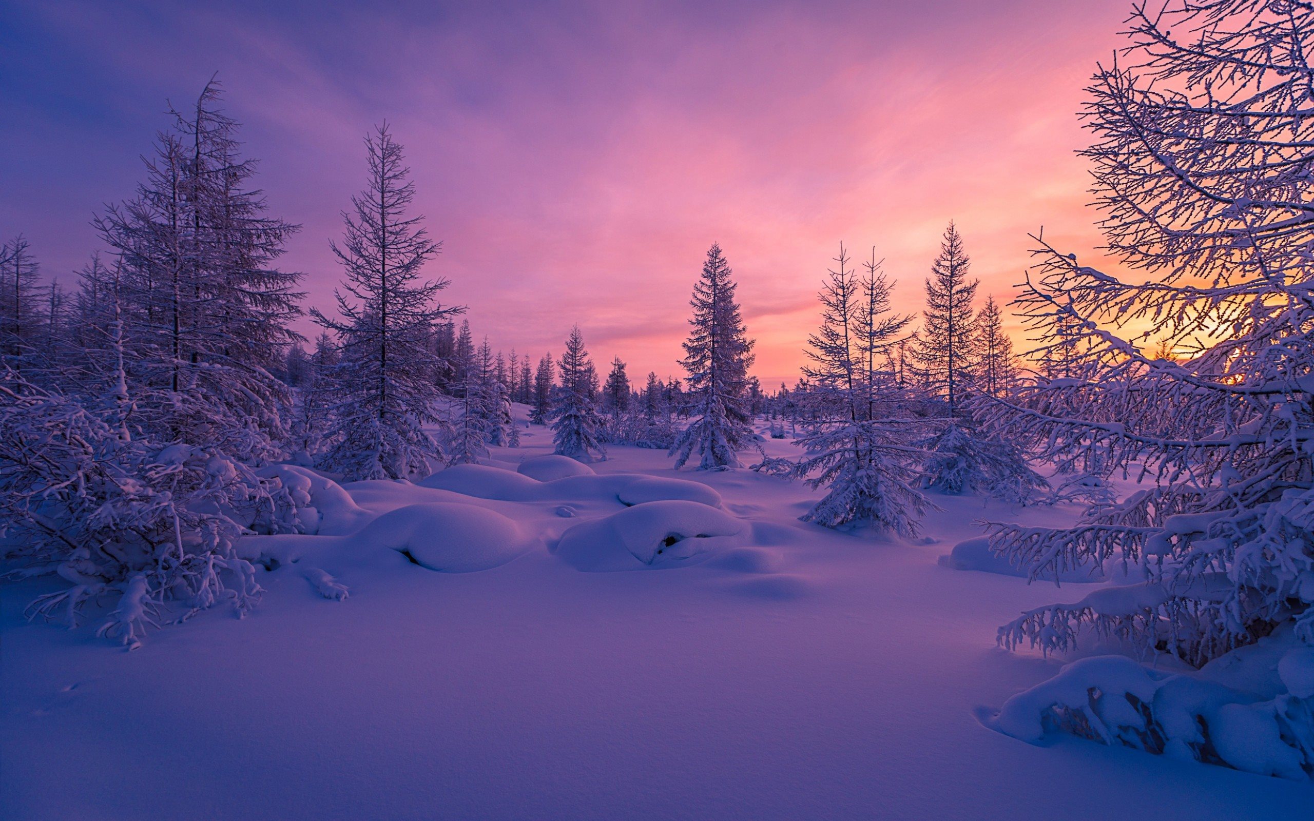 Winter Sunset Photography Wallpapers