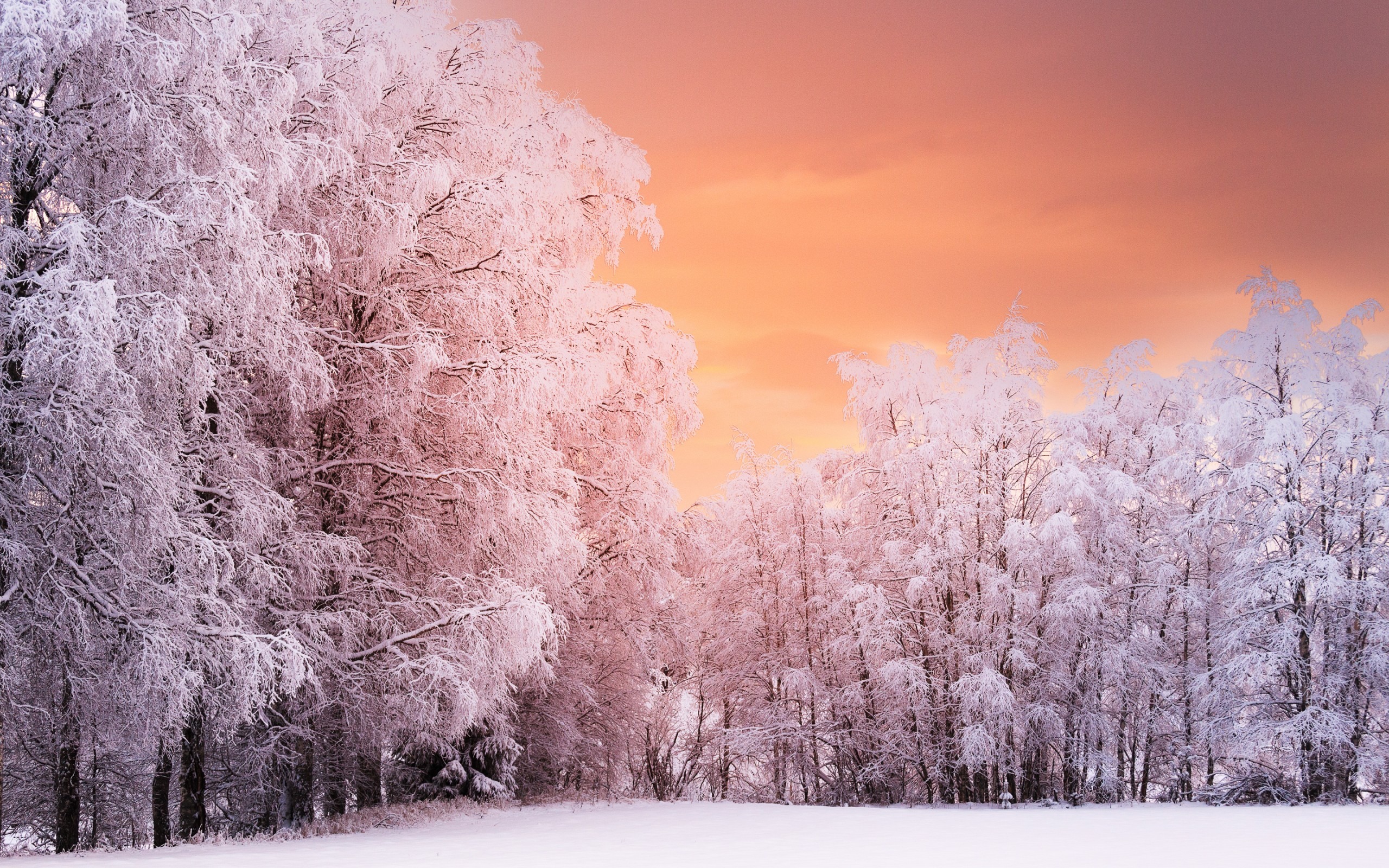 Winter Sunset Photography Wallpapers