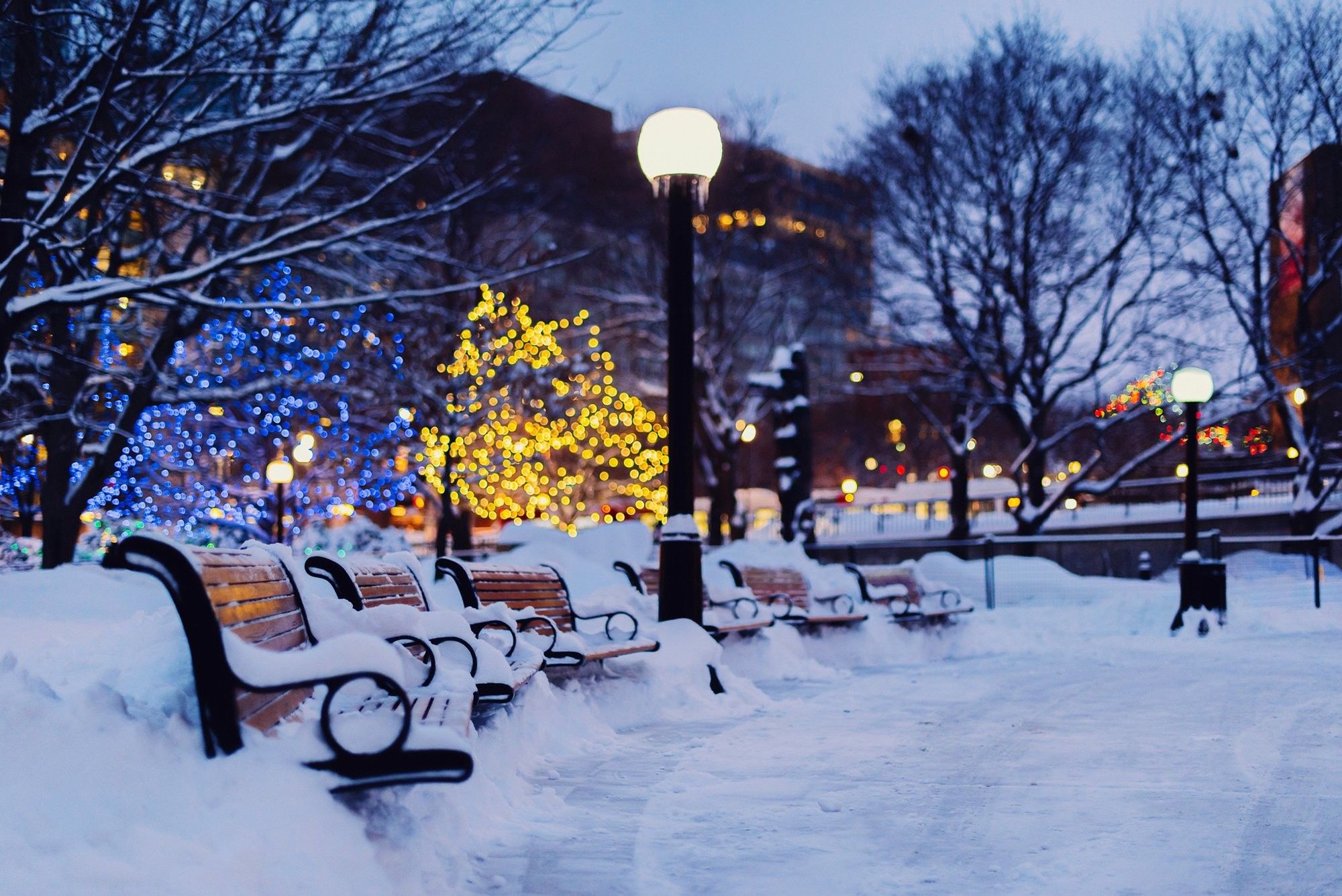 Winter City Background