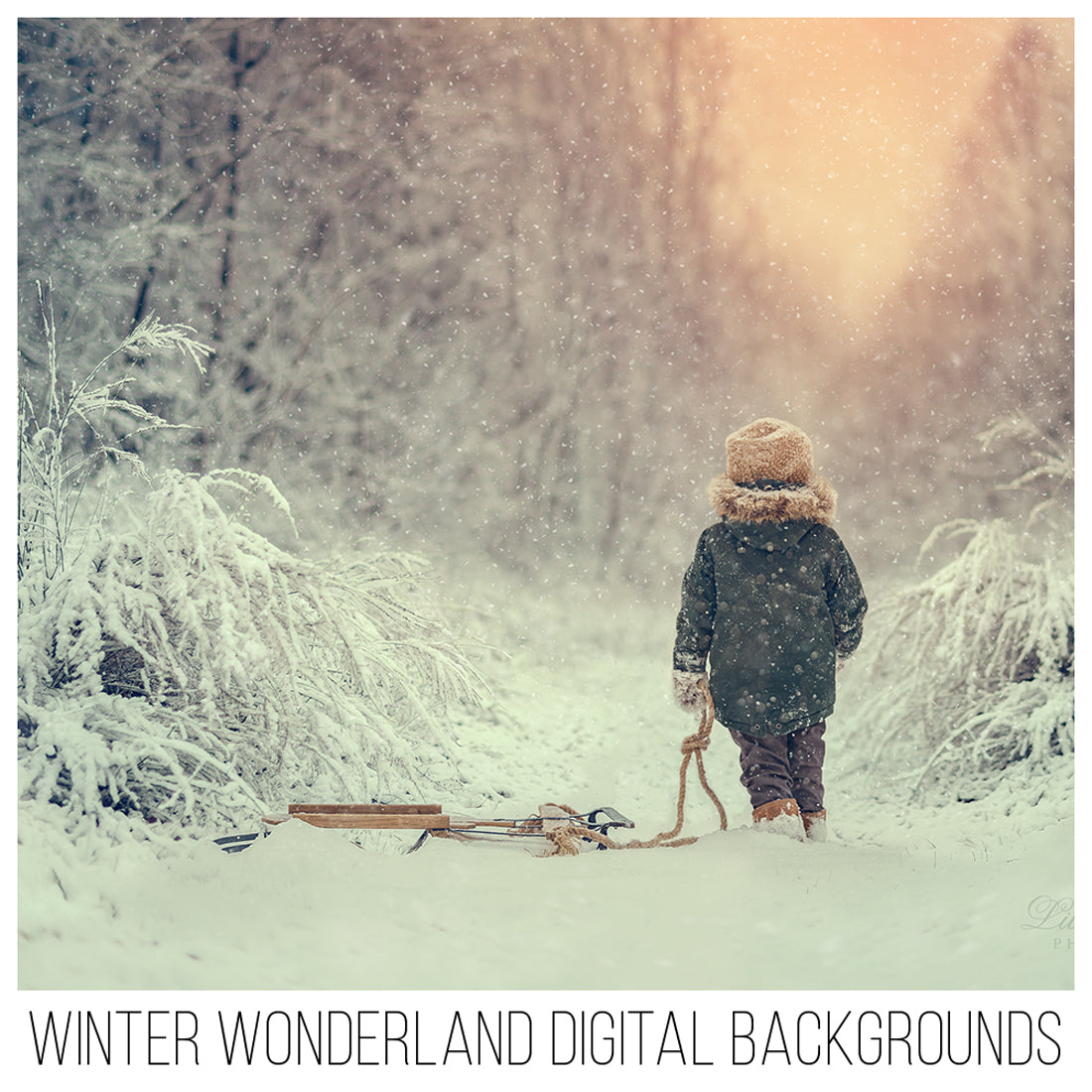 Winter Digital Backgrounds