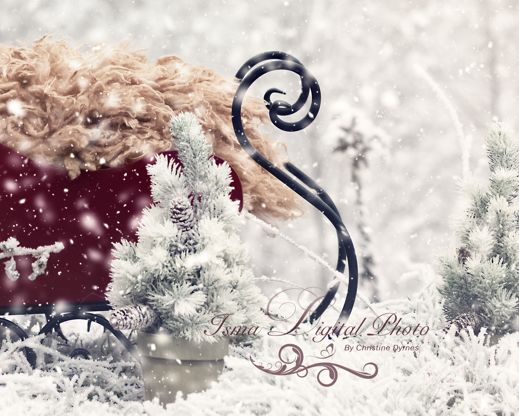 Winter Digital Backgrounds