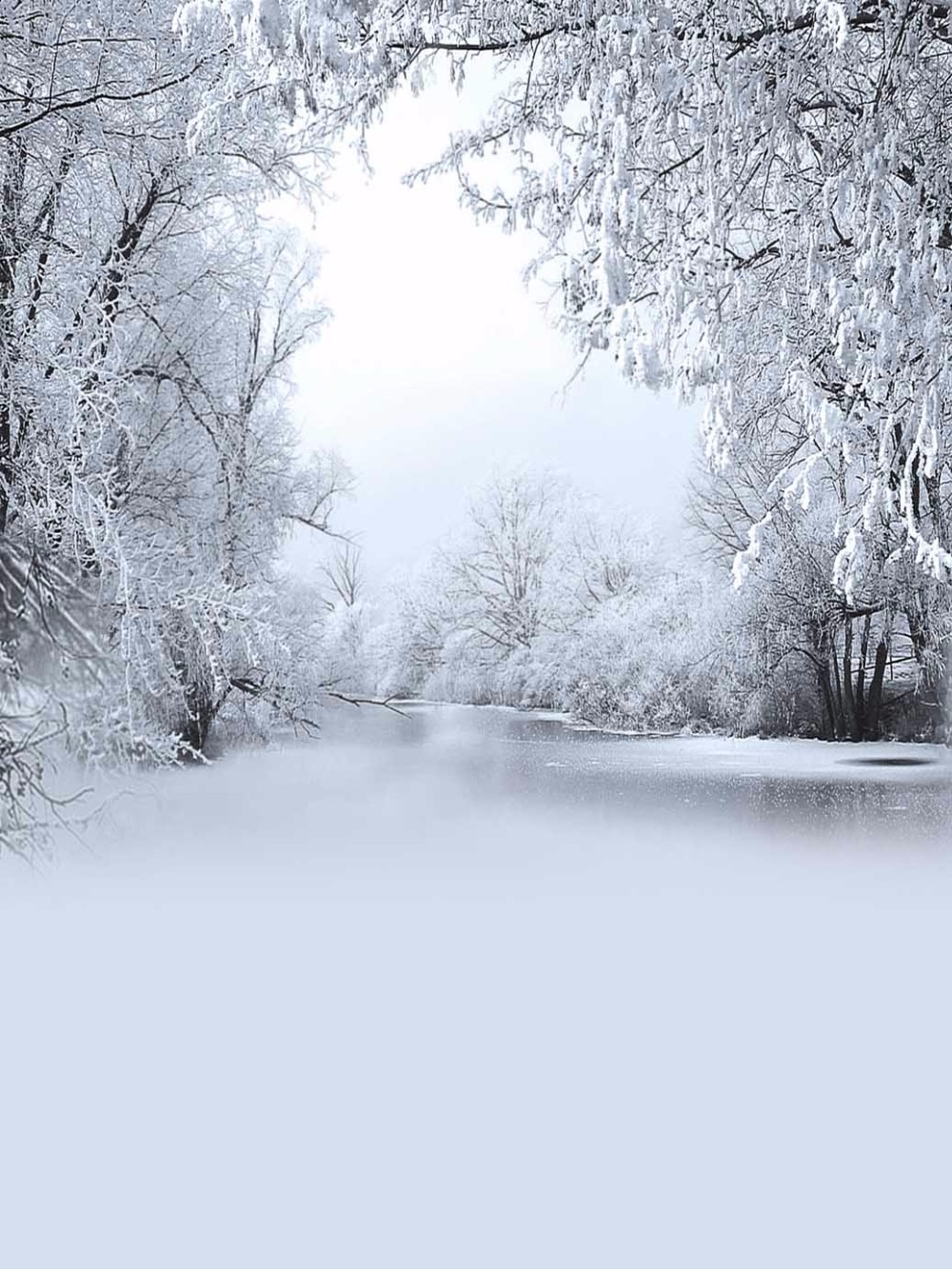 Winter Digital Backgrounds