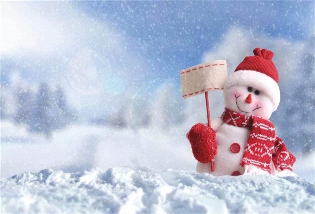 Winter Snowman Background