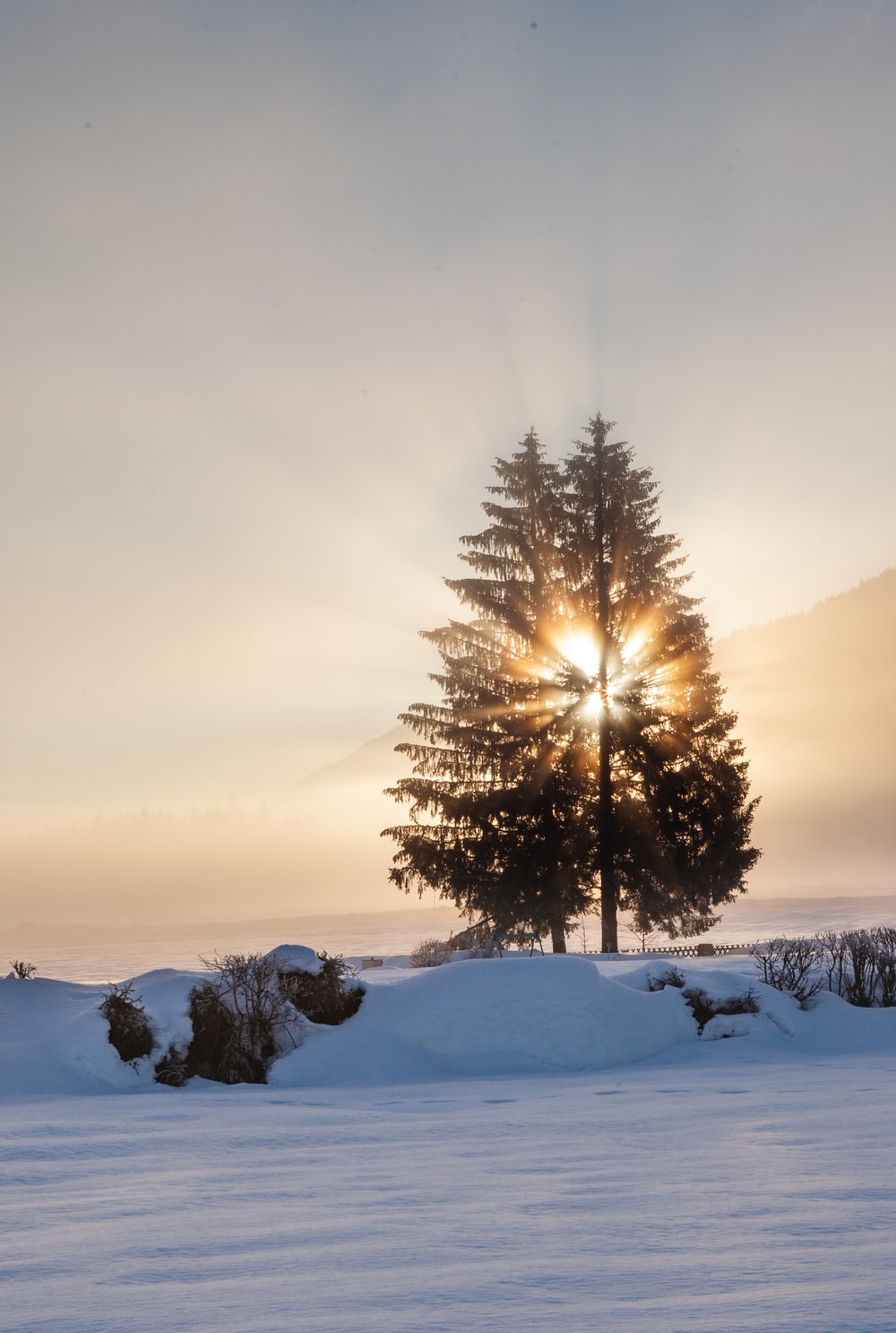 Winter Sunrise Background