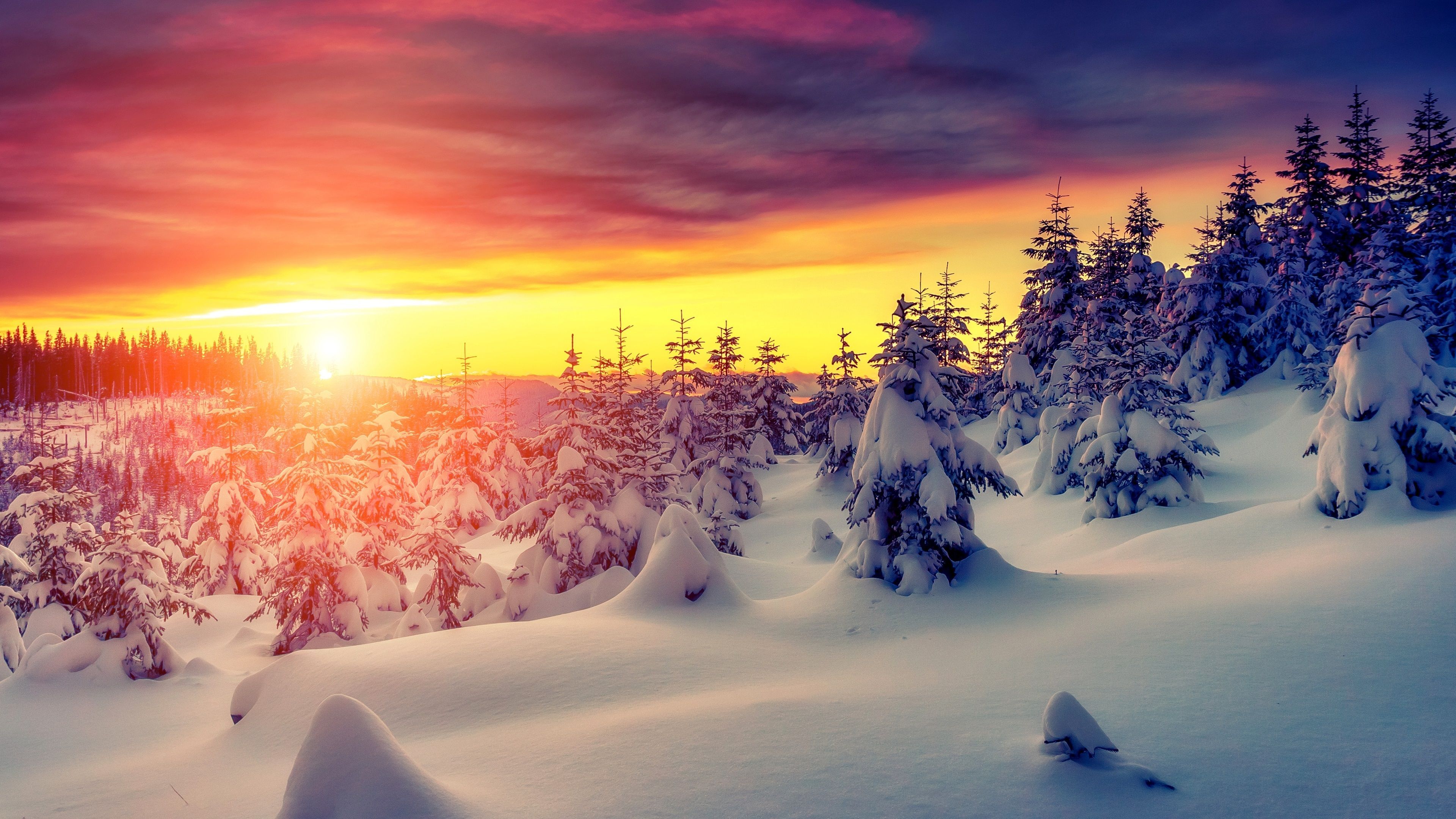 Winter Sunrise Background