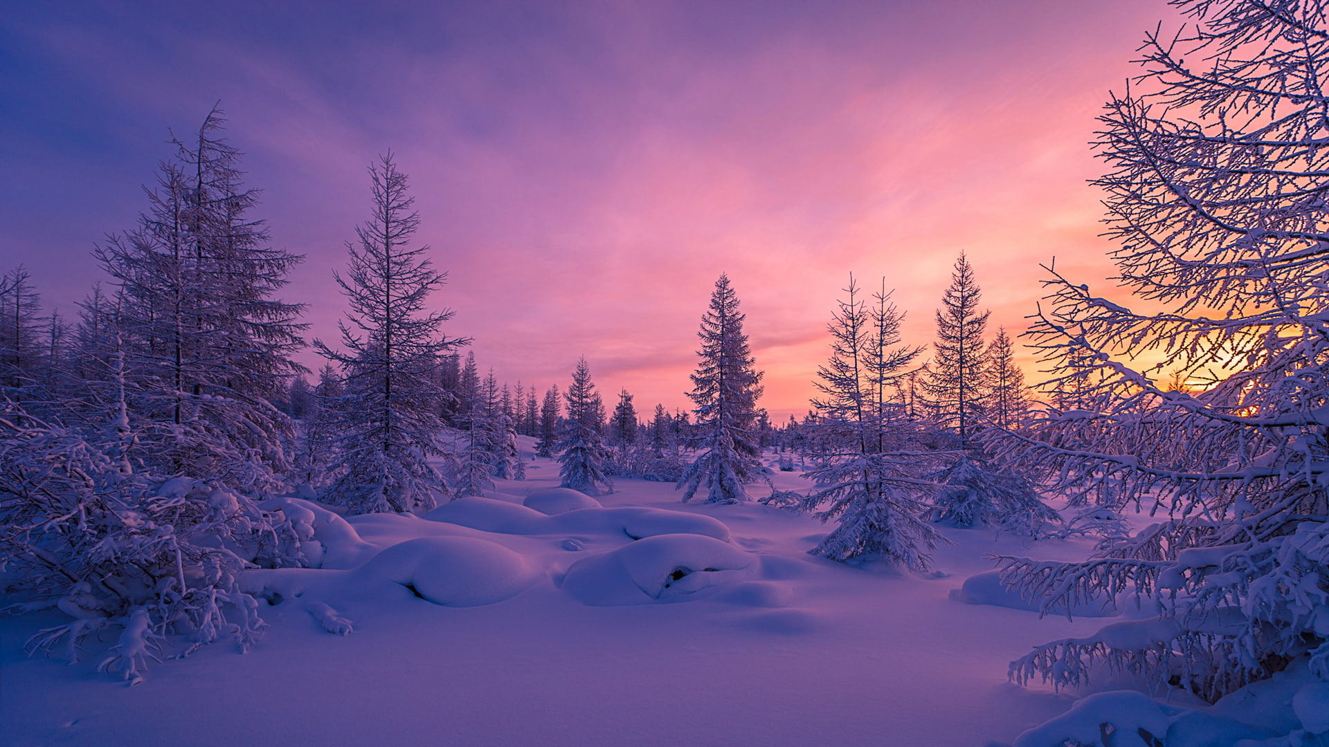 Winter Sunrise Background