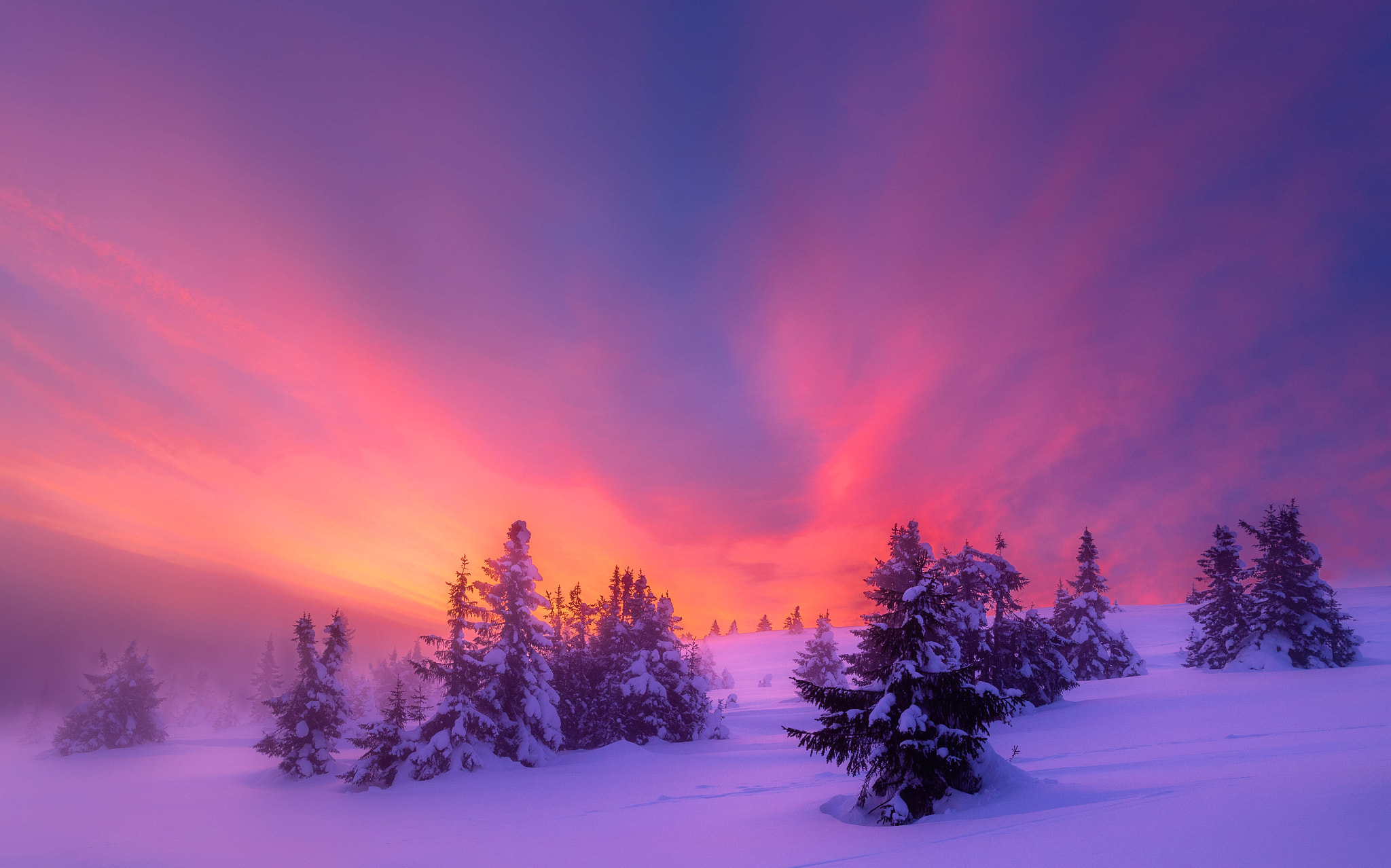 Winter Sunrise Background