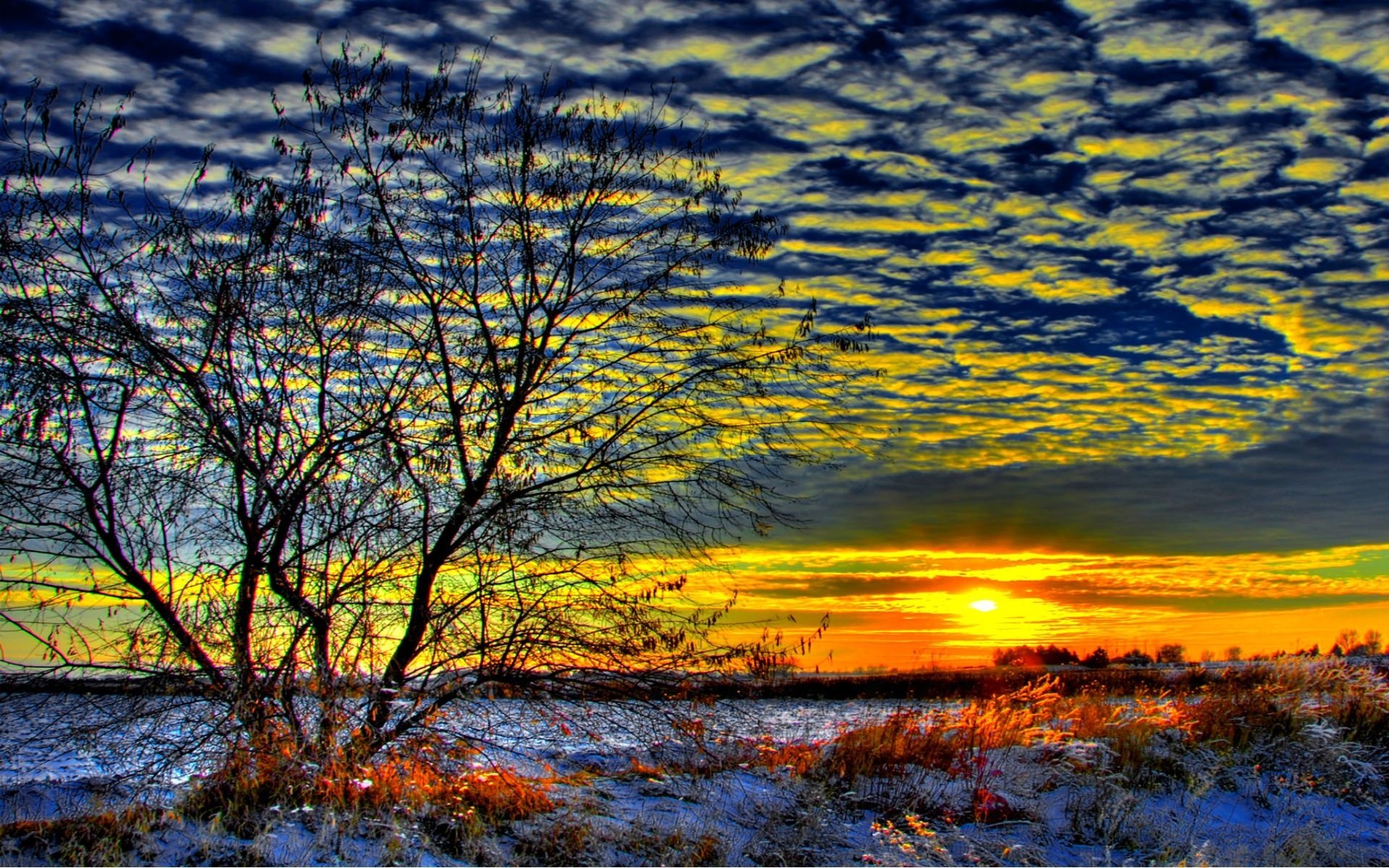 Winter Sunrise Background