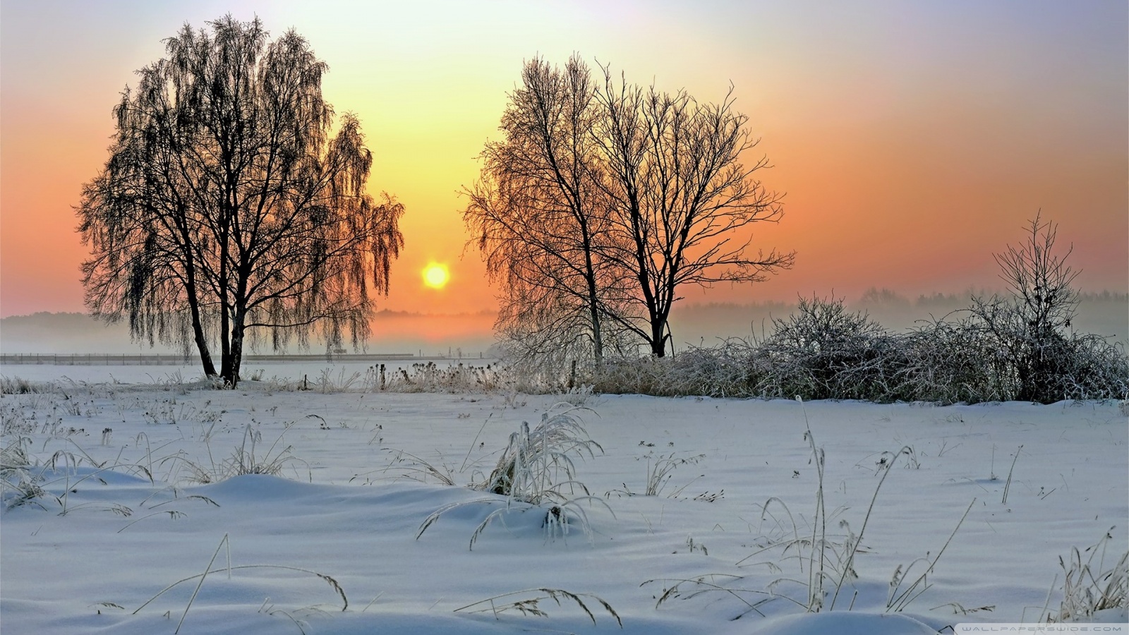 Winter Sunrise Background