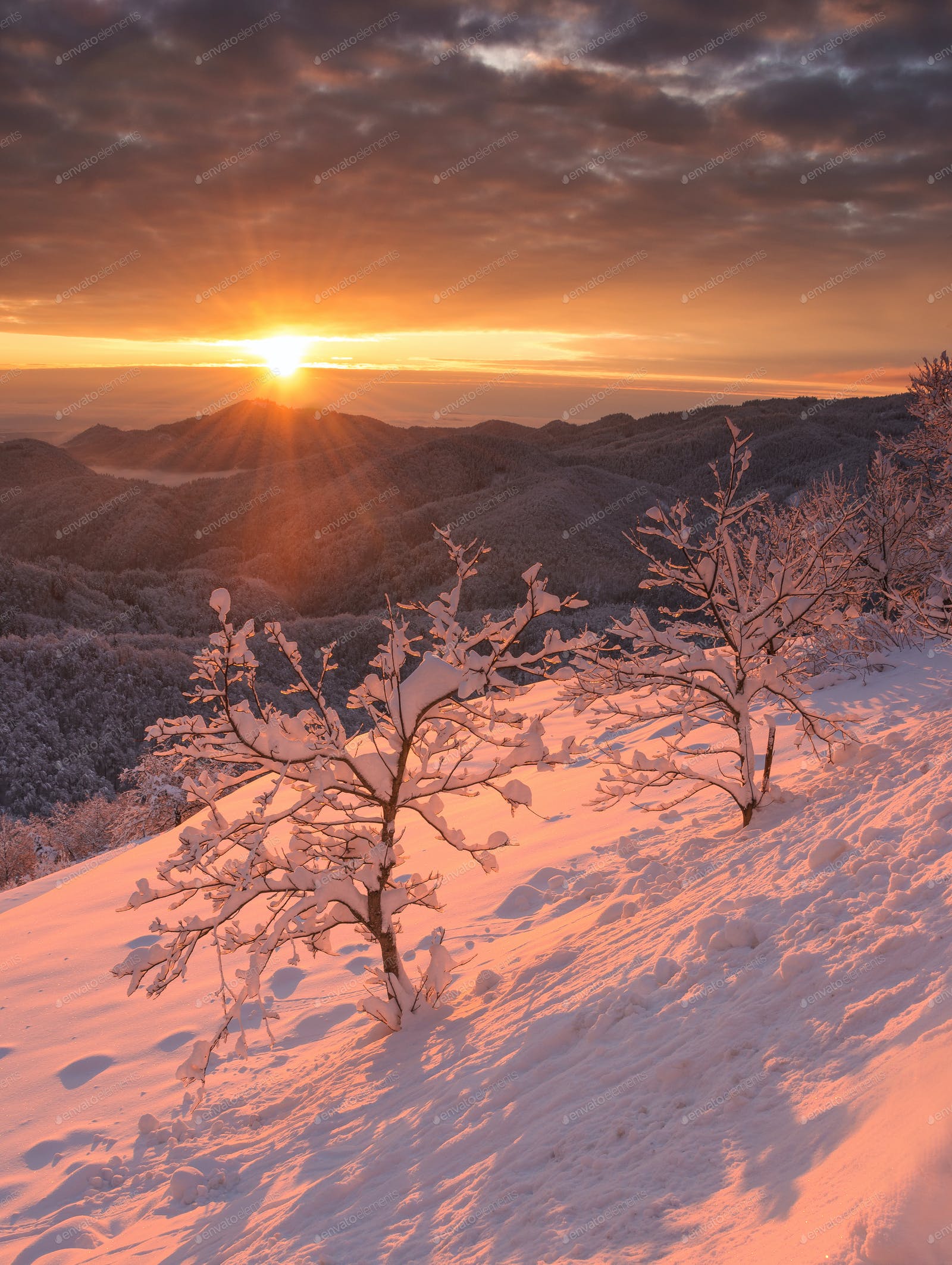 Winter Sunrise Background