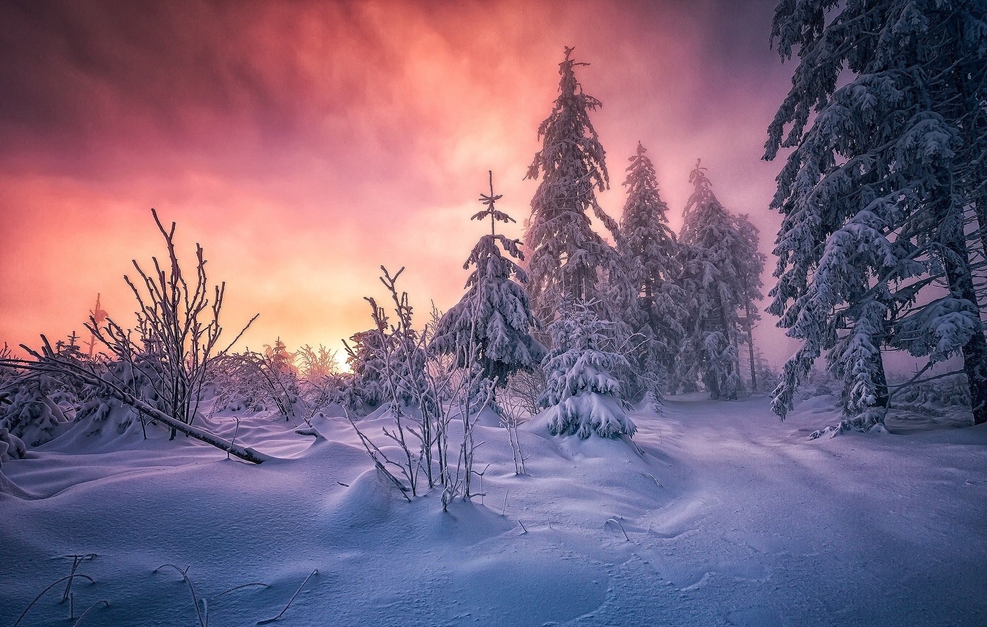 Winter Sunrise Background