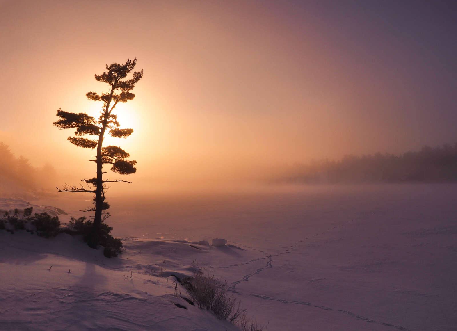 Winter Sunrise Background