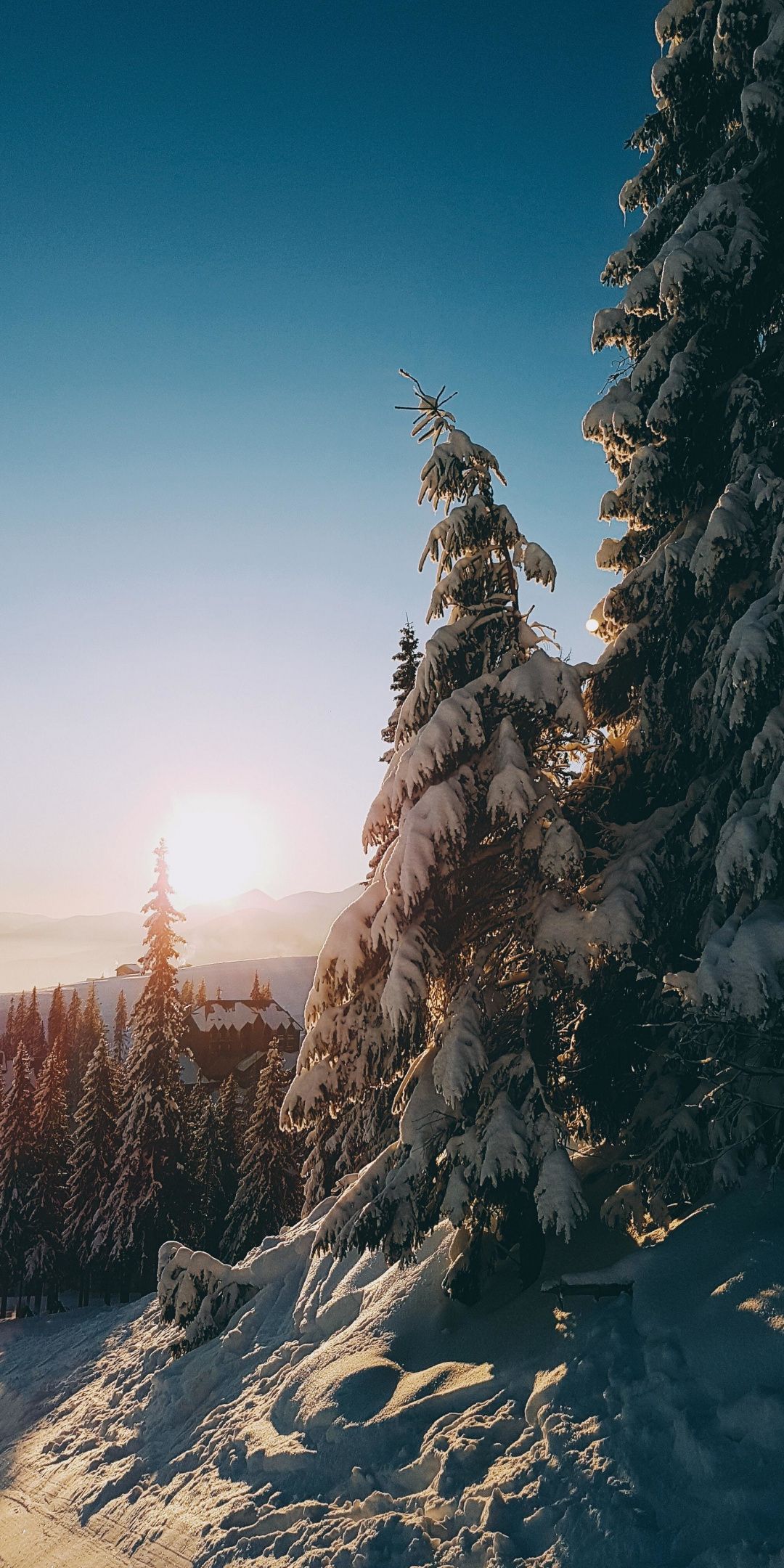 Winter Sunrise Background