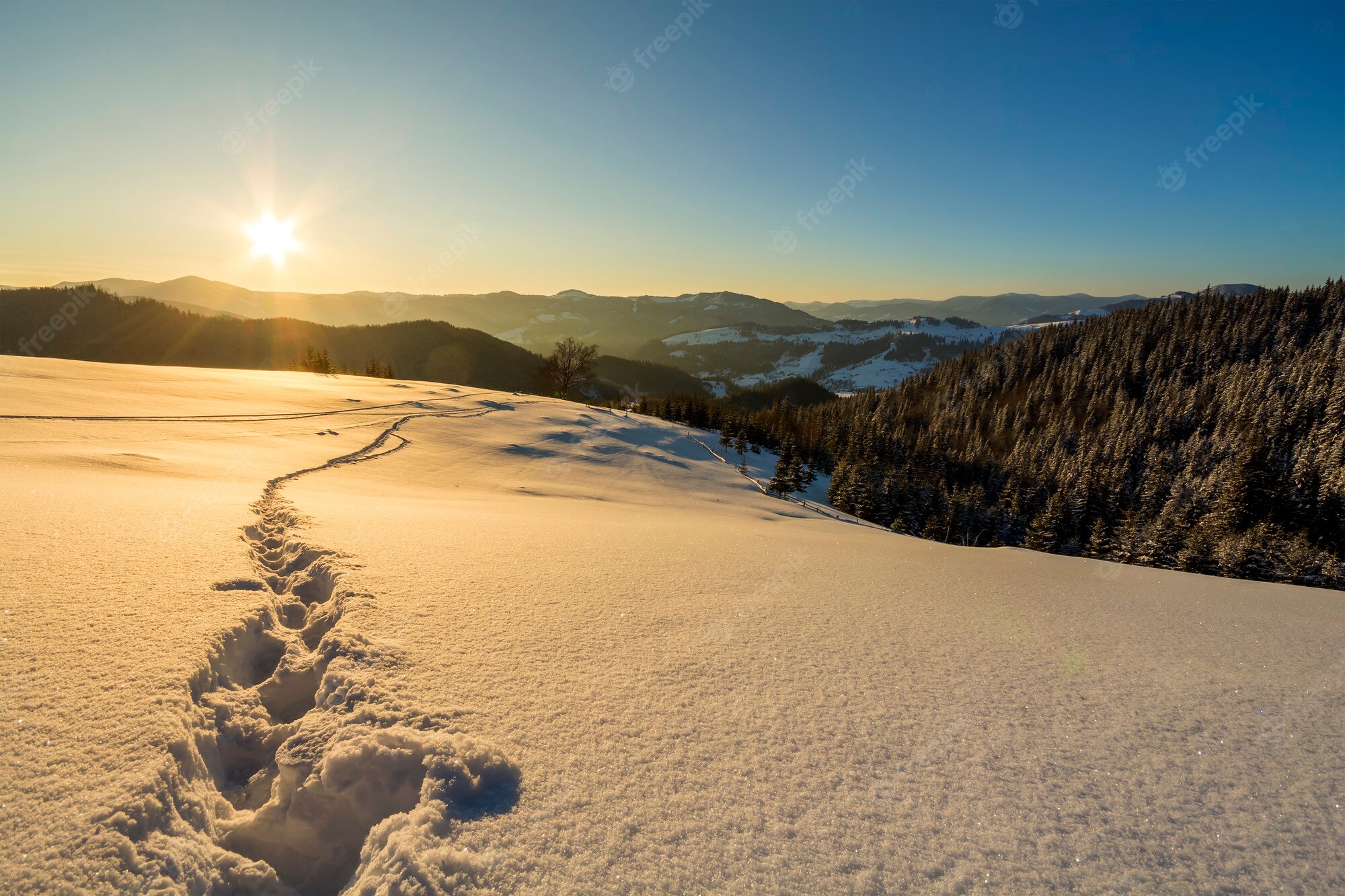 Winter Sunrise Background