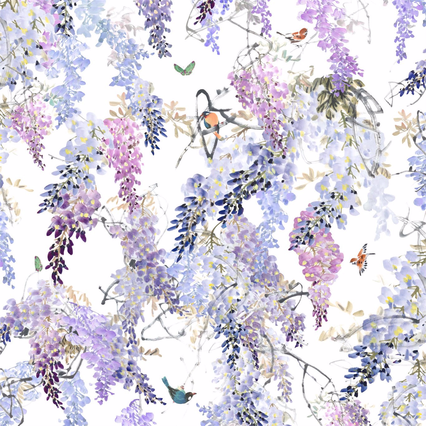Wisteria Wallpapers