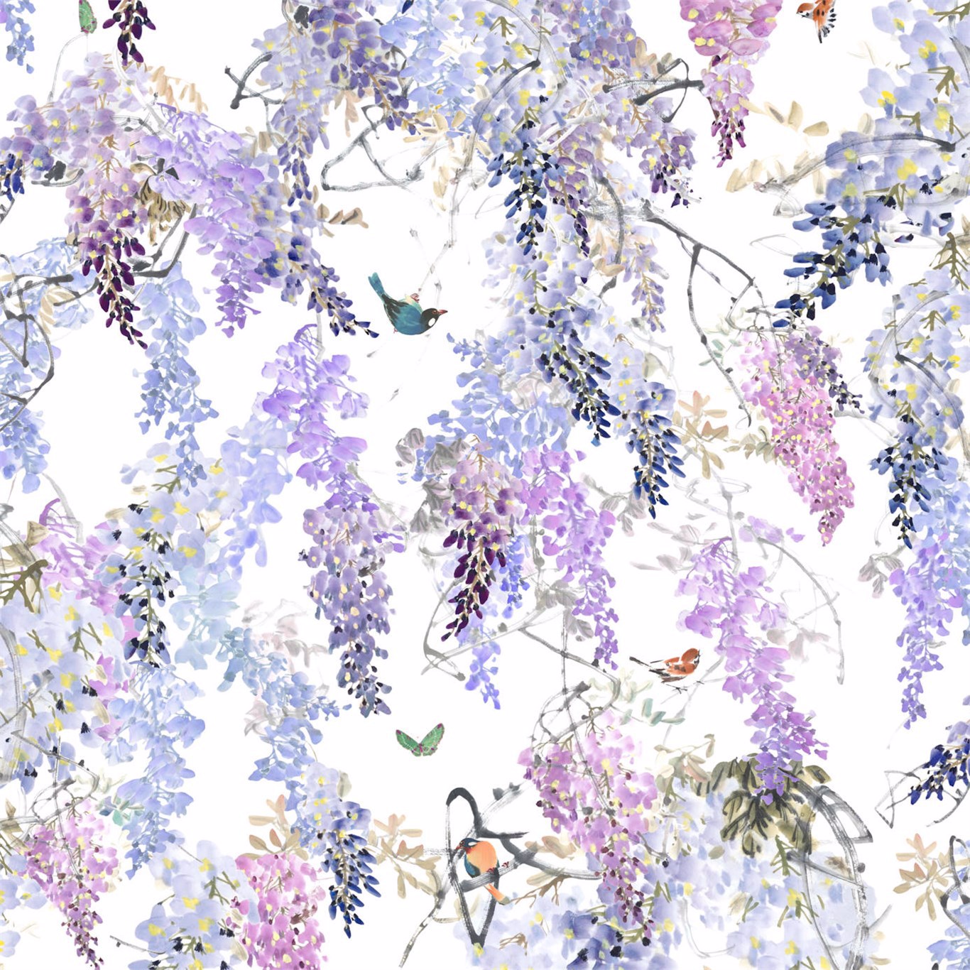 Wisteria Wallpapers