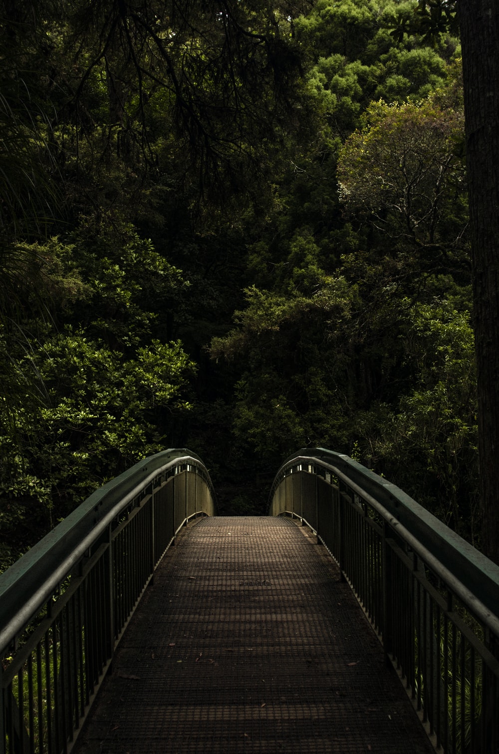 Wood Bridge Forest In Fall Wallpapers