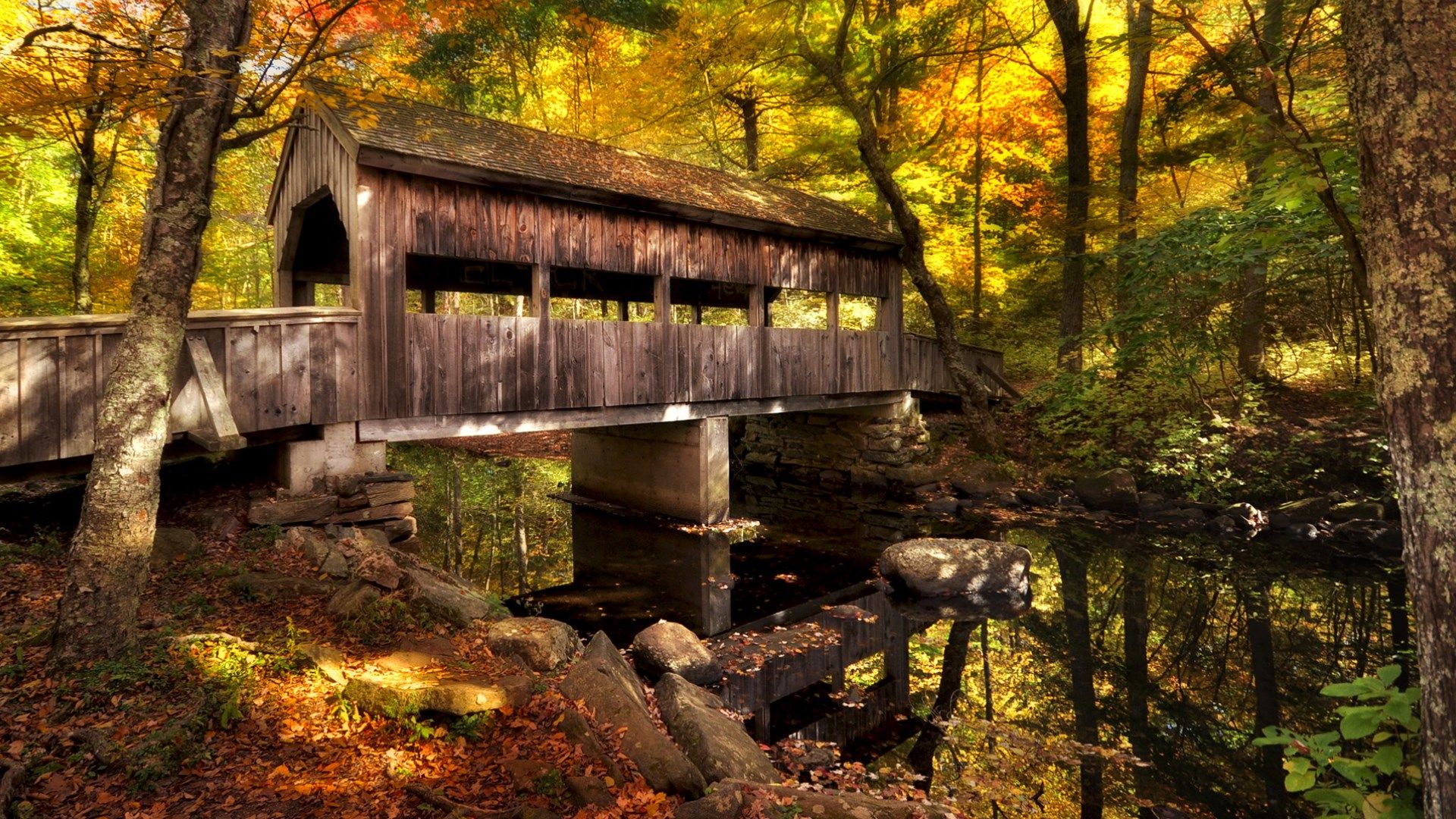 Wood Bridge Forest In Fall Wallpapers