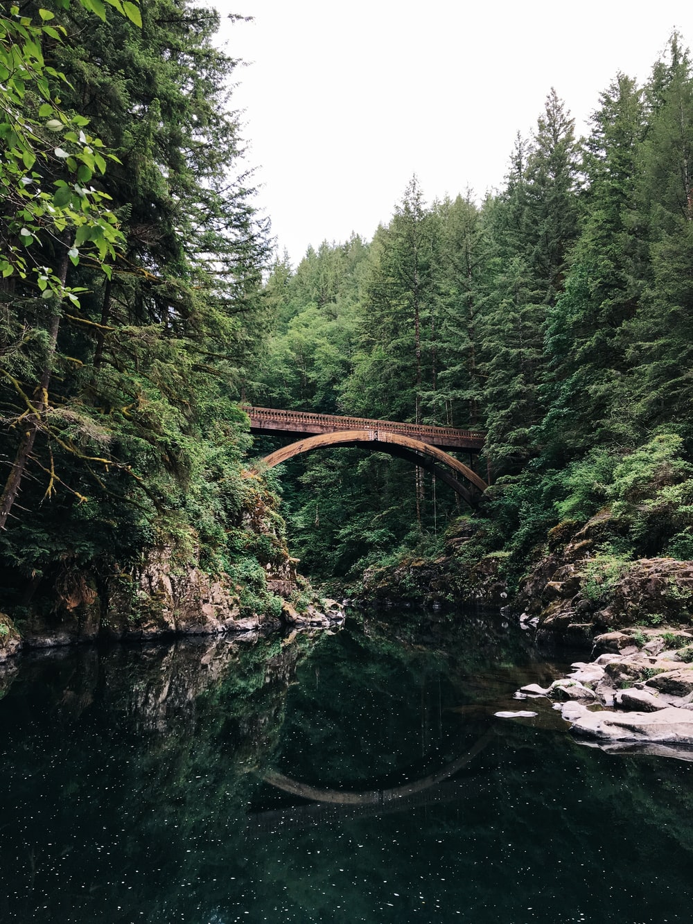 Wood Bridge Forest In Fall Wallpapers